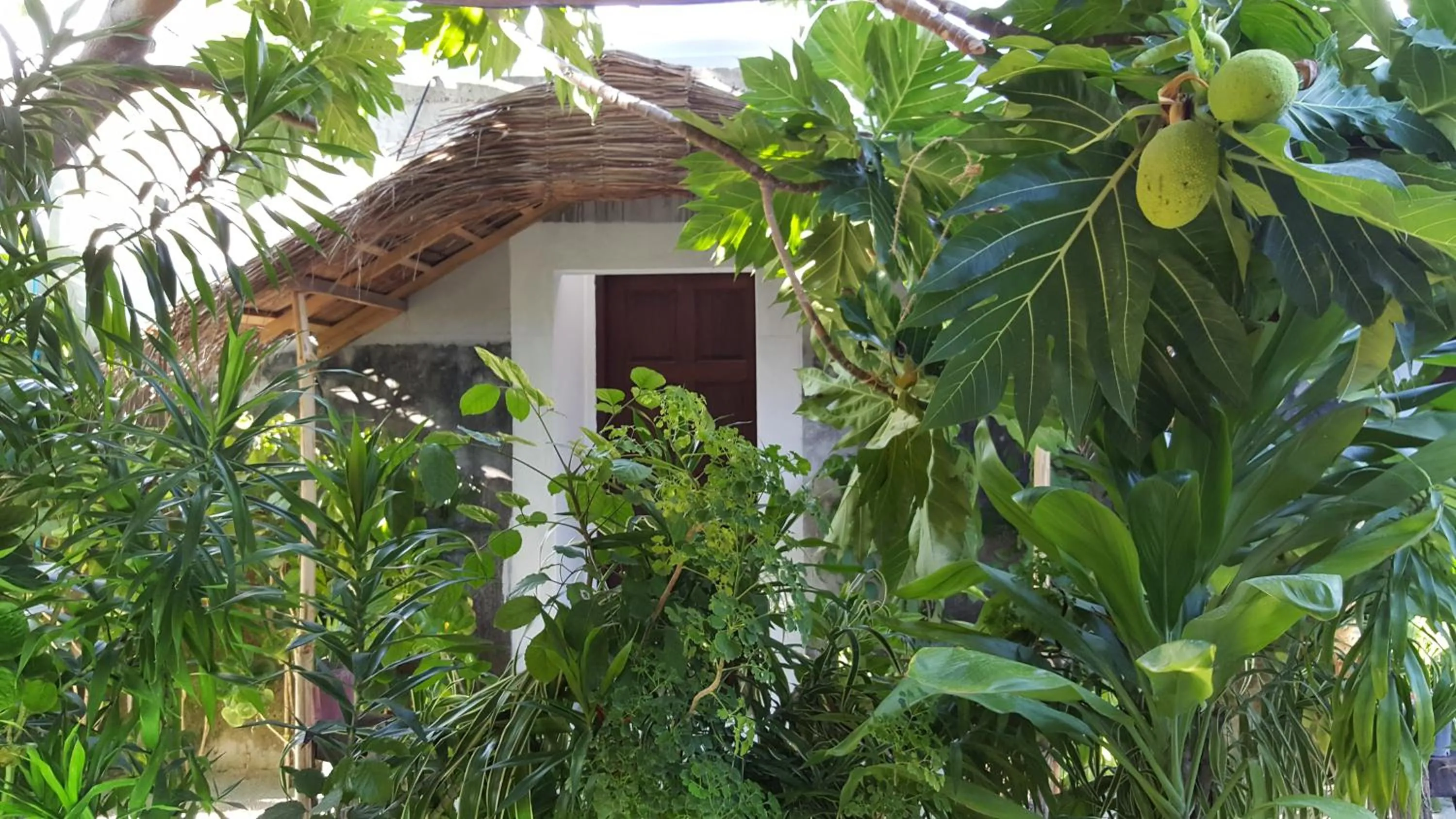 On site in Maafushi View