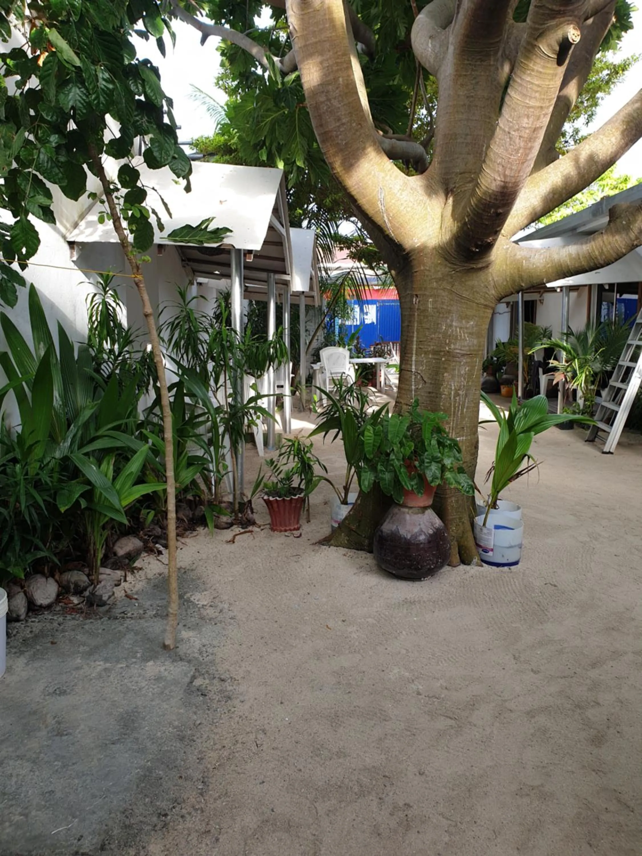 Property building in Maafushi View