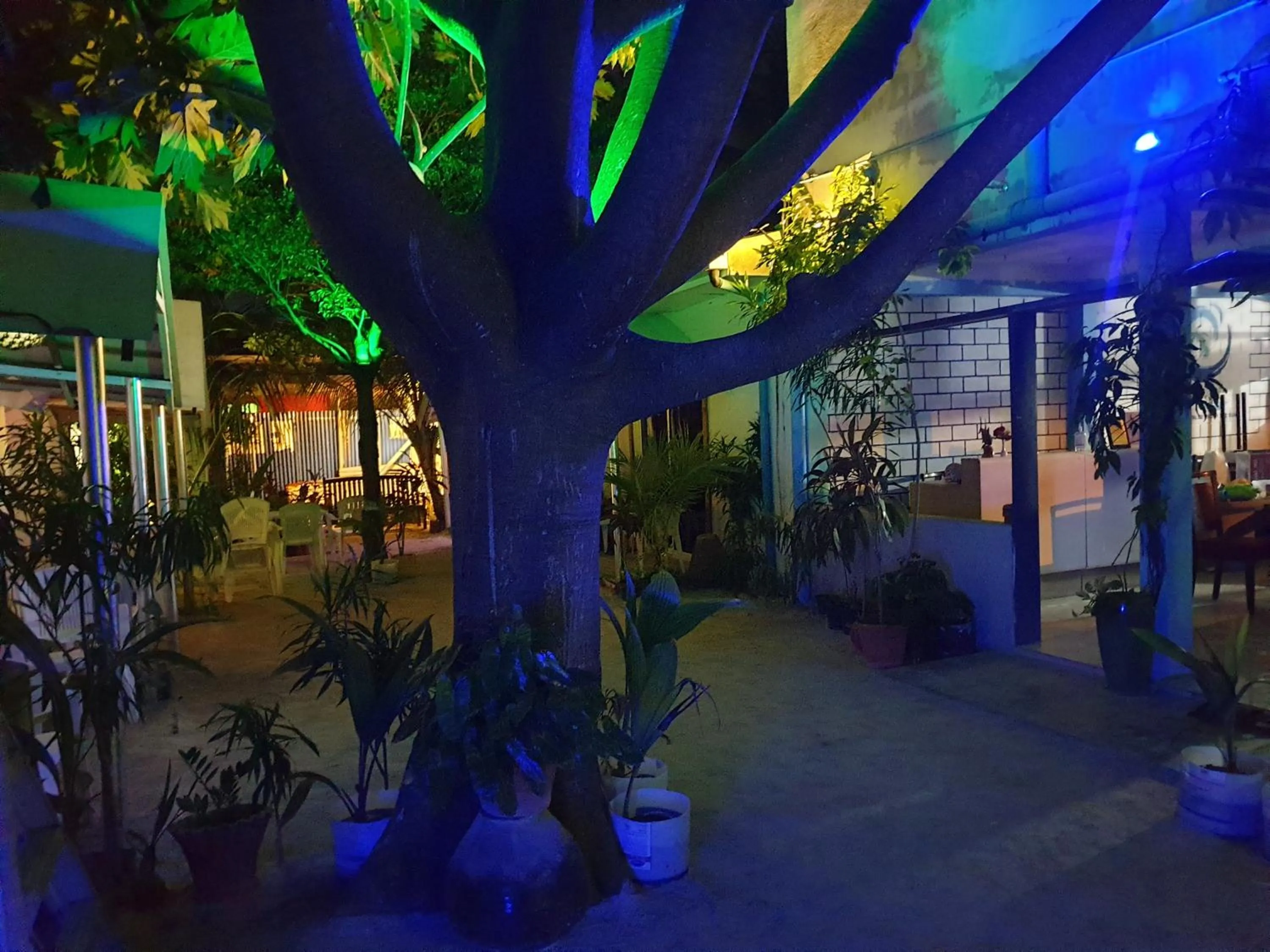 Property building in Maafushi View