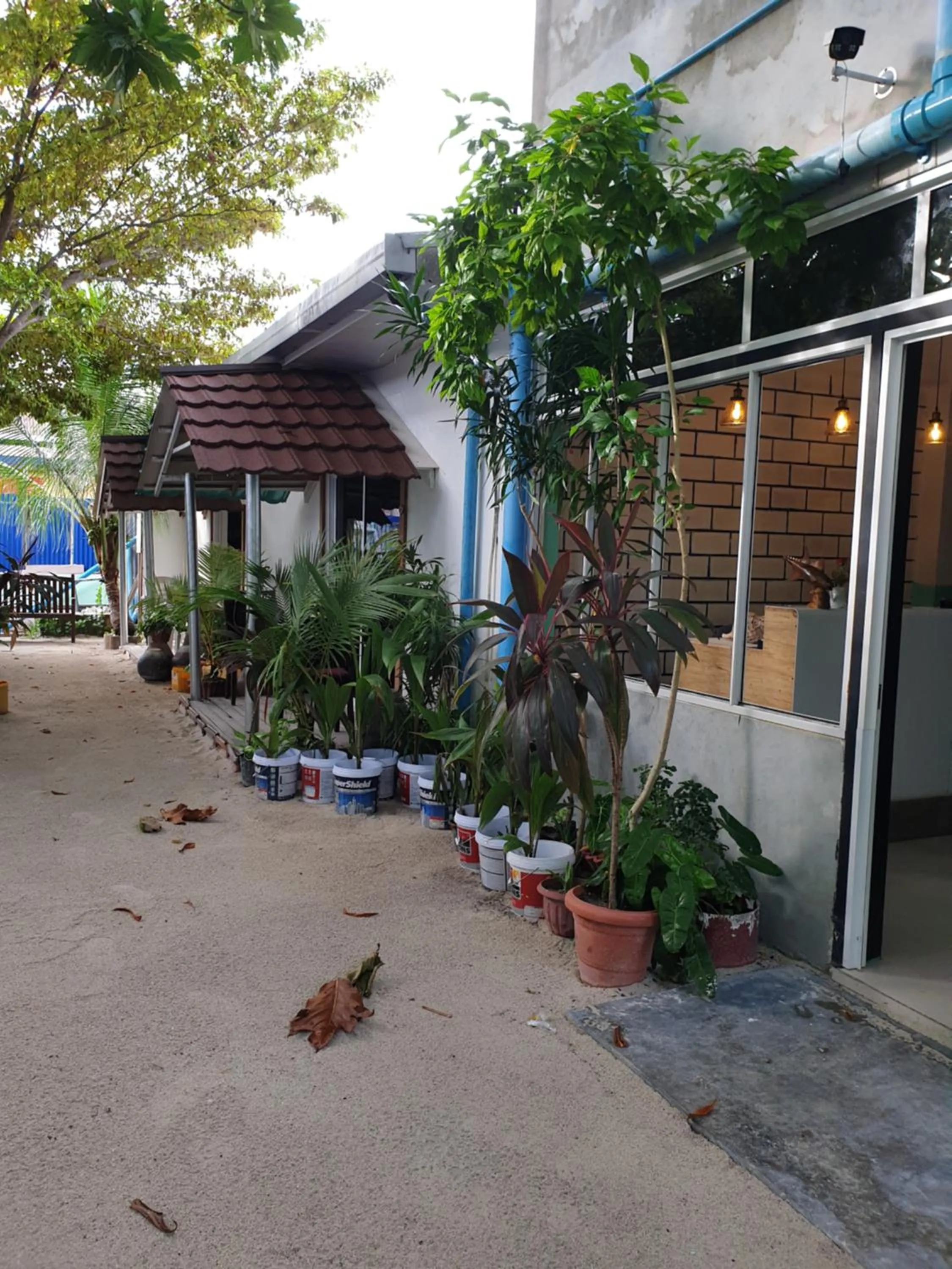Property building in Maafushi View