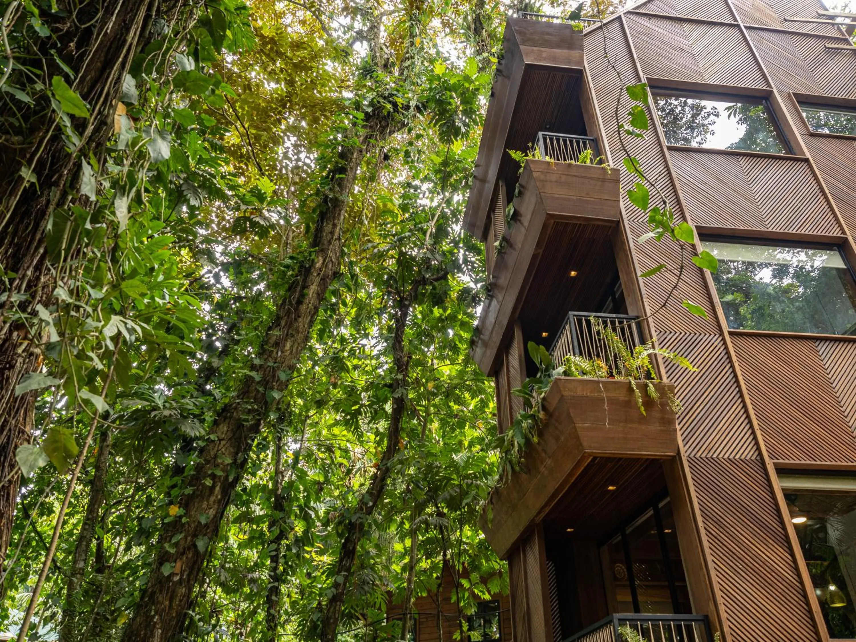 Property building in Palmar Beach Lodge