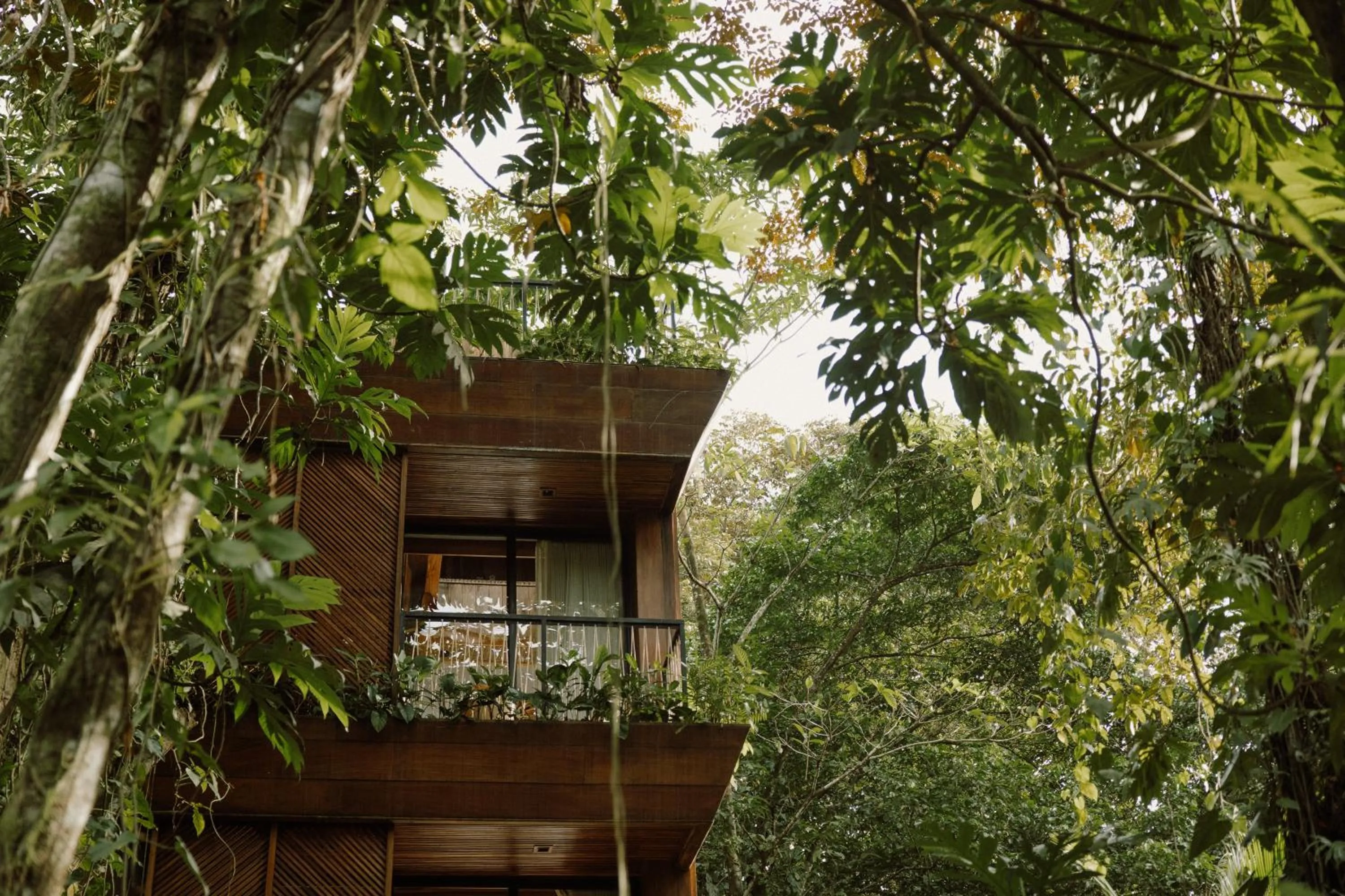 Property building in Palmar Beach Lodge