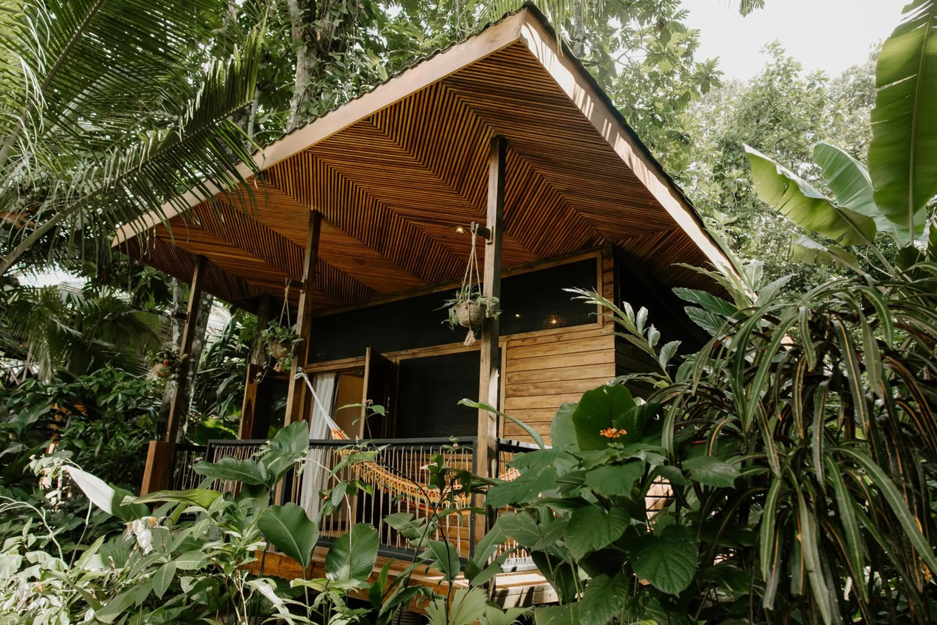 Balcony/Terrace in Palmar Beach Lodge