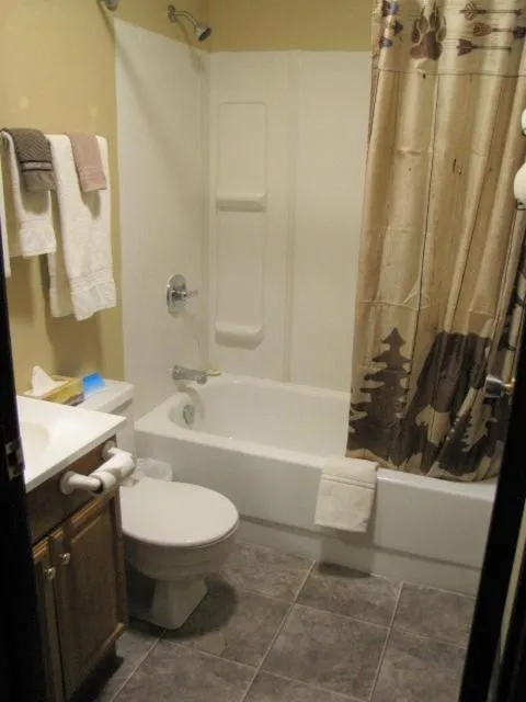 Bathroom in Bear Country Inn and Suites