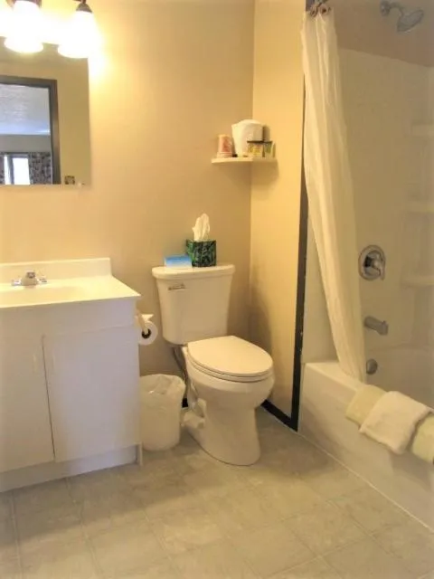 Bathroom in Bear Country Inn and Suites