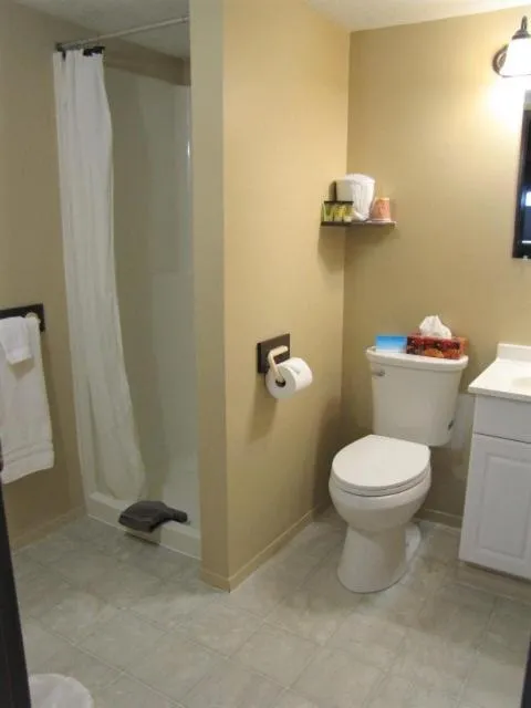 Bathroom in Bear Country Inn and Suites