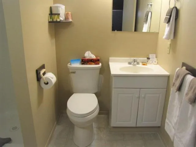 Bathroom in Bear Country Inn and Suites