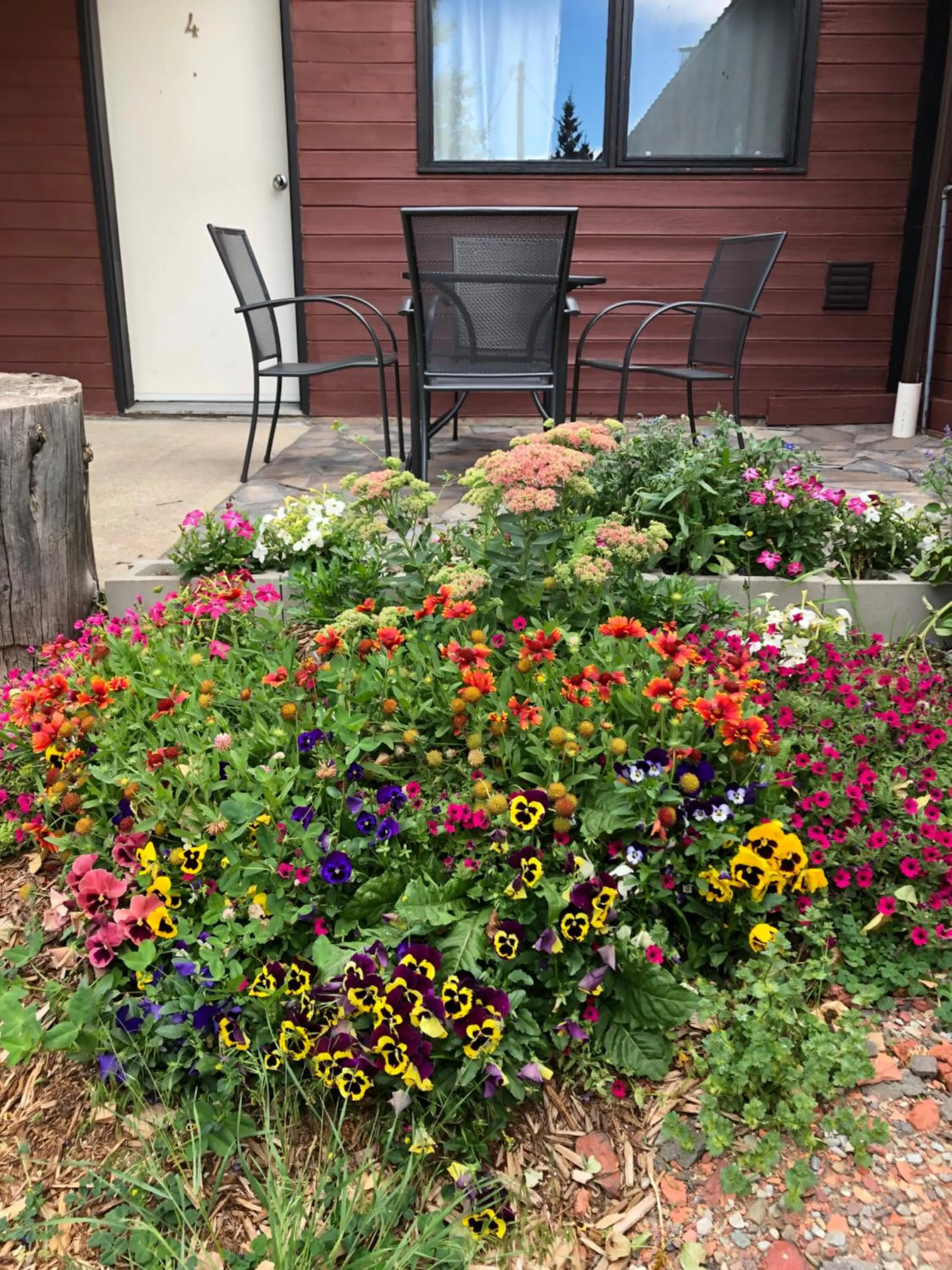 Bear Country Inn and Suites