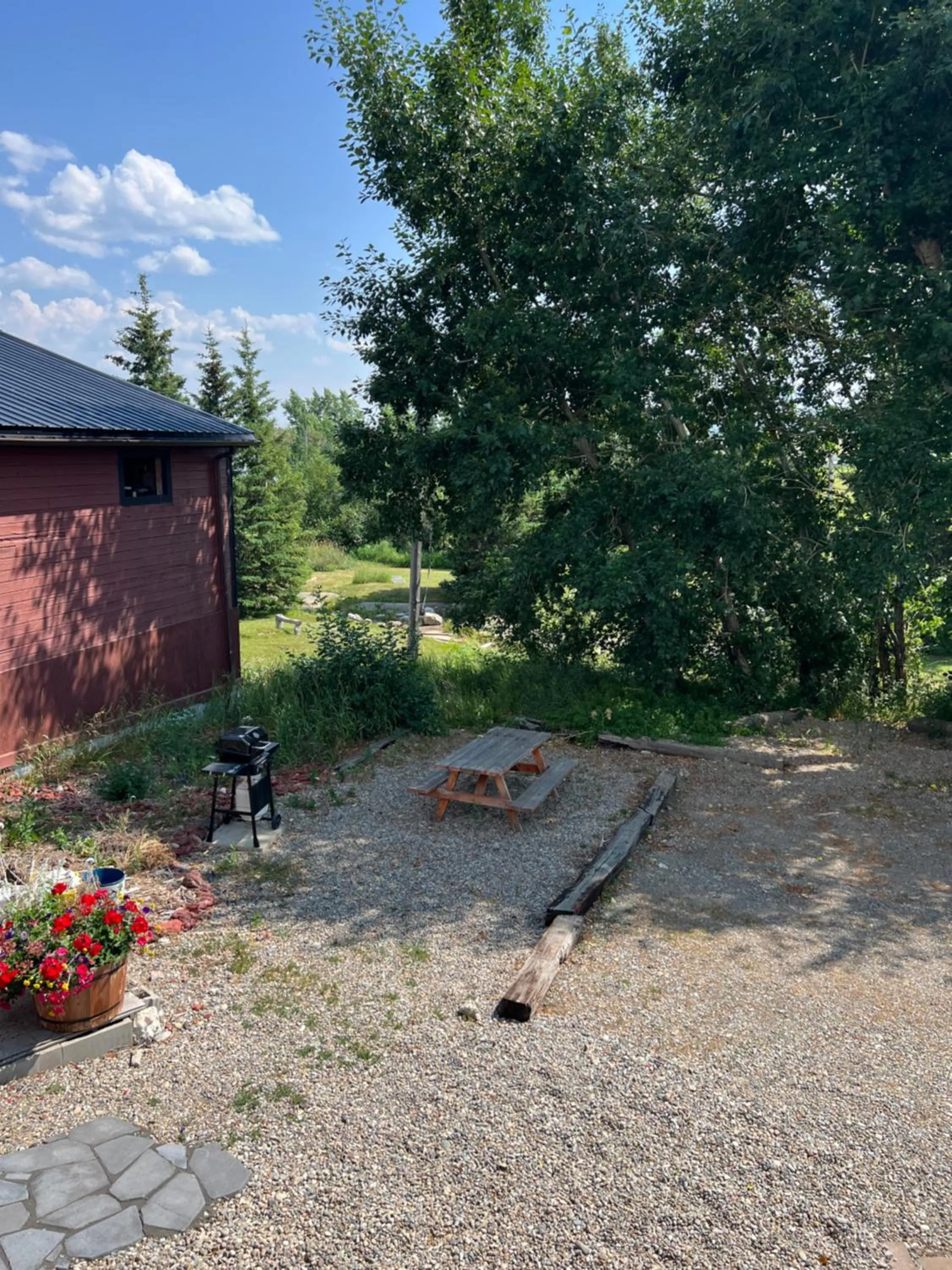 BBQ facilities in Bear Country Inn and Suites