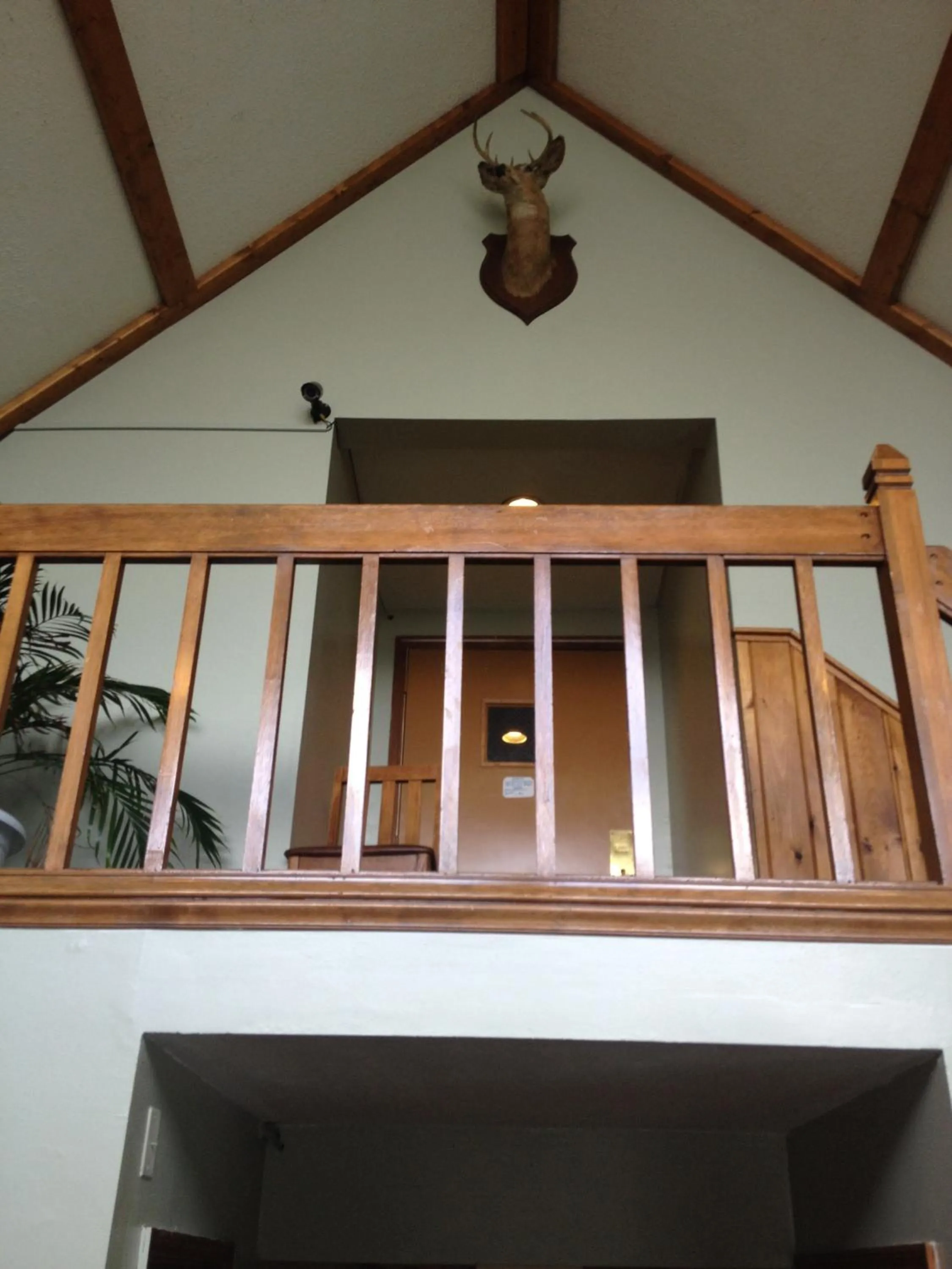 Decorative detail in Chaffee Lodge