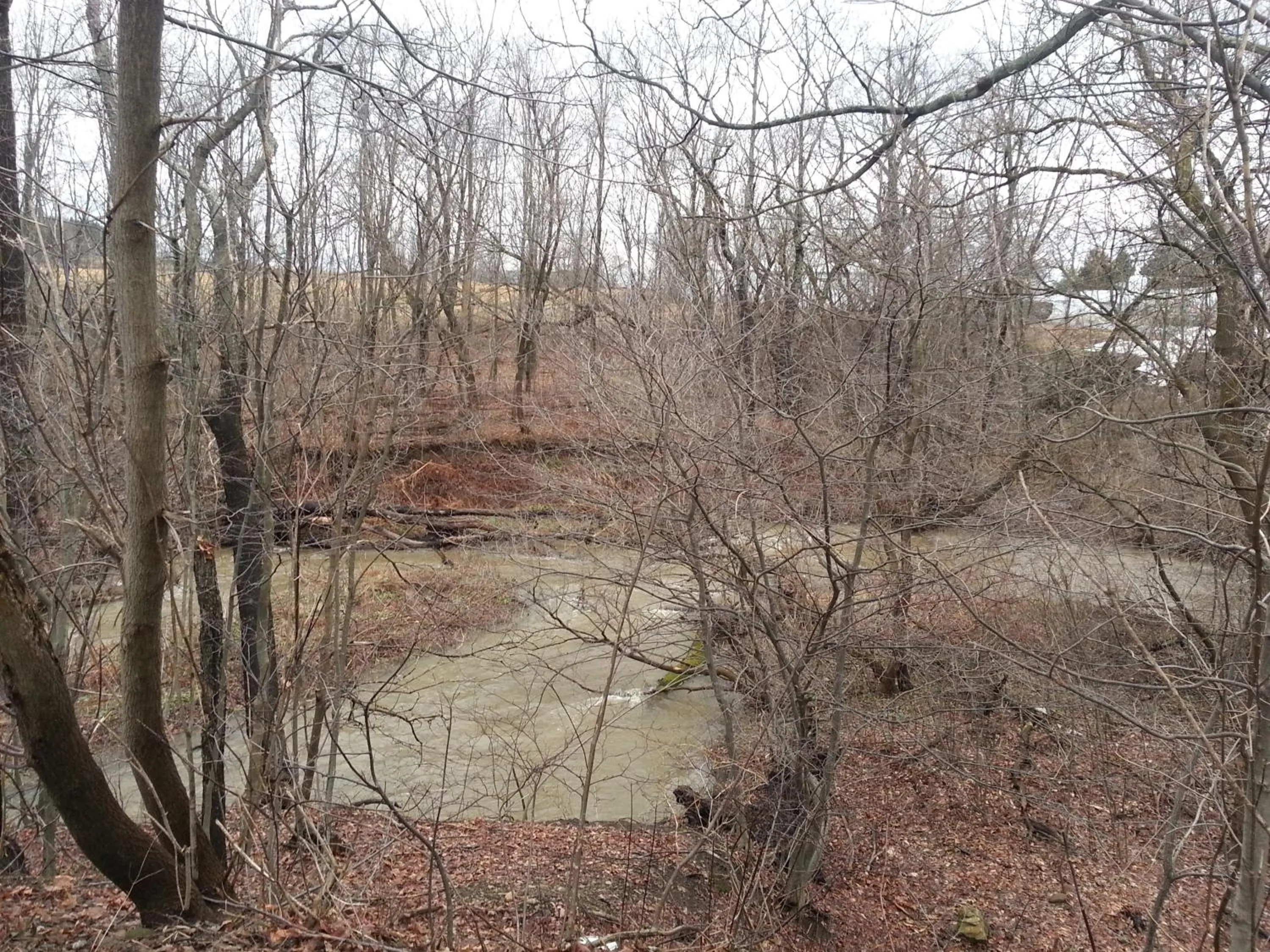 Facade/entrance in Chaffee Lodge