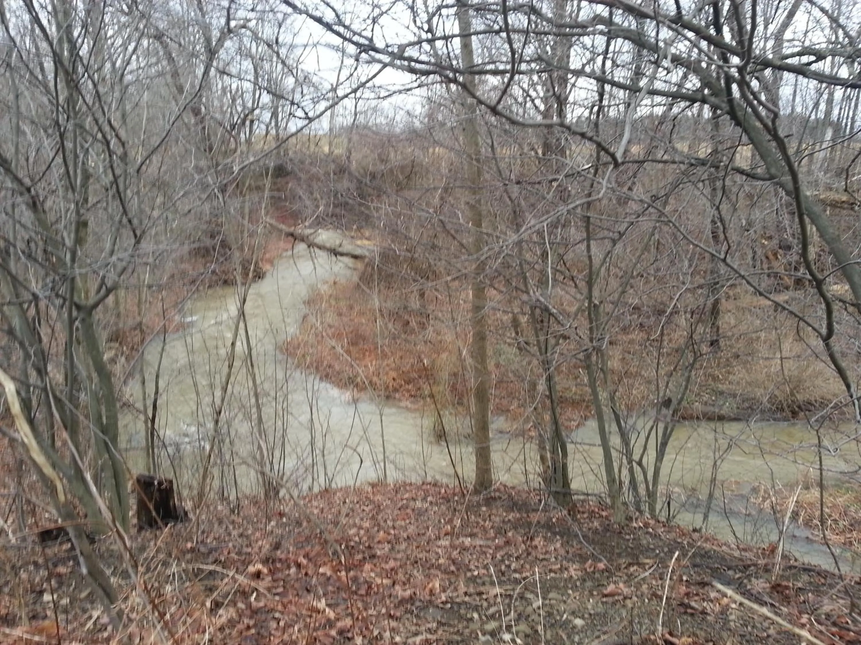 Area and facilities in Chaffee Lodge