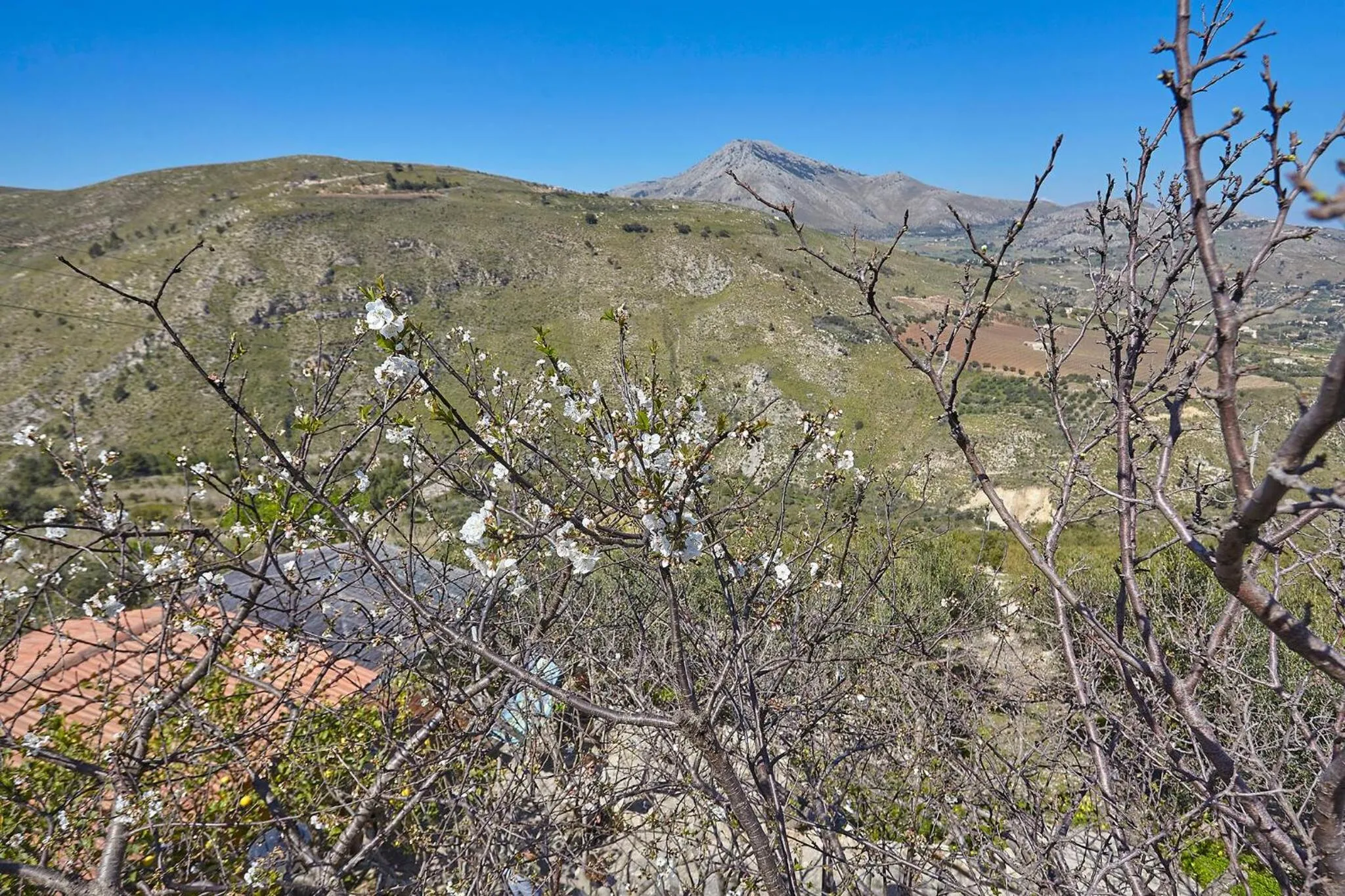 Off site in Villa del Poggio