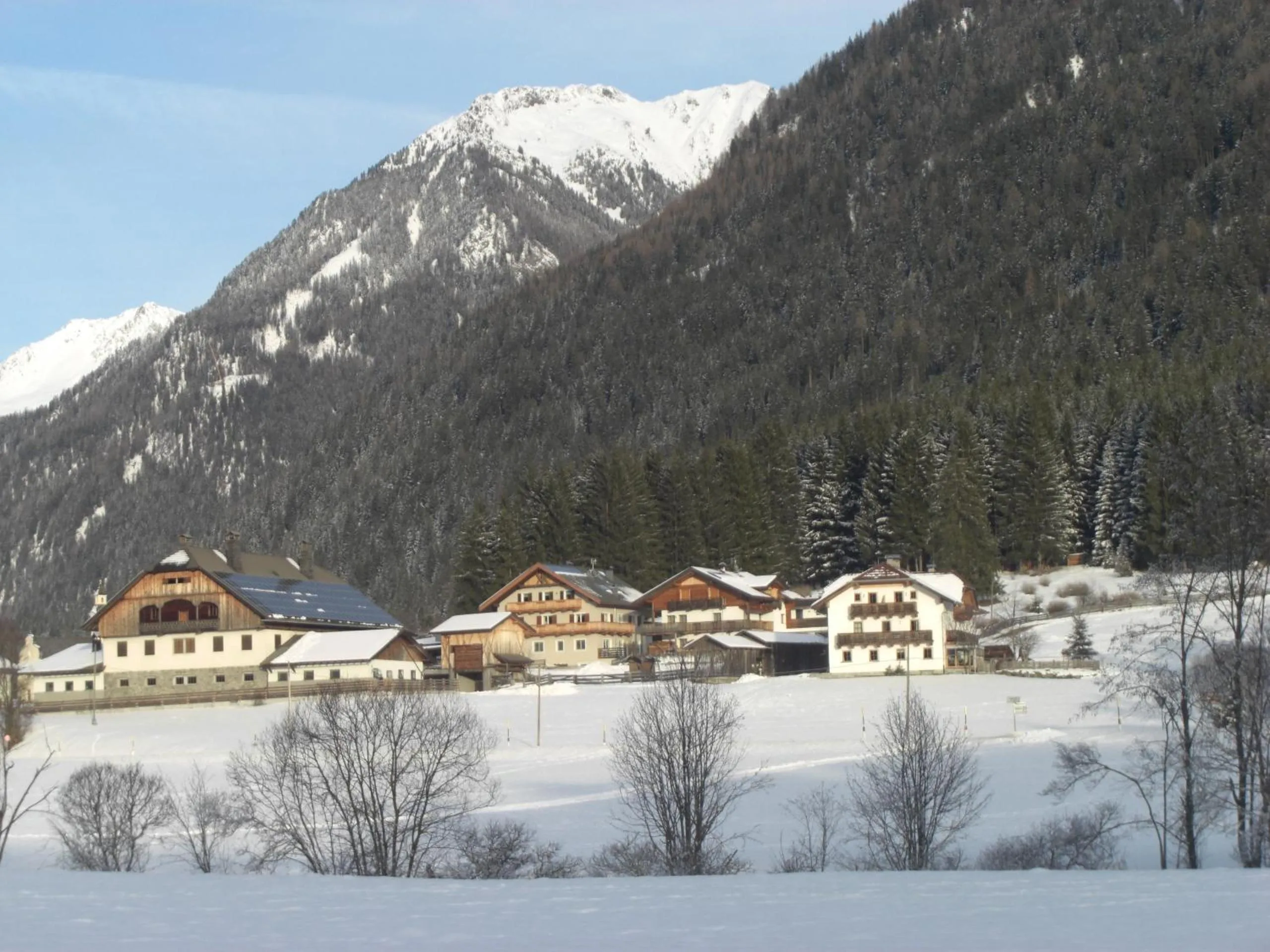 Natural landscape in Haus Schaller