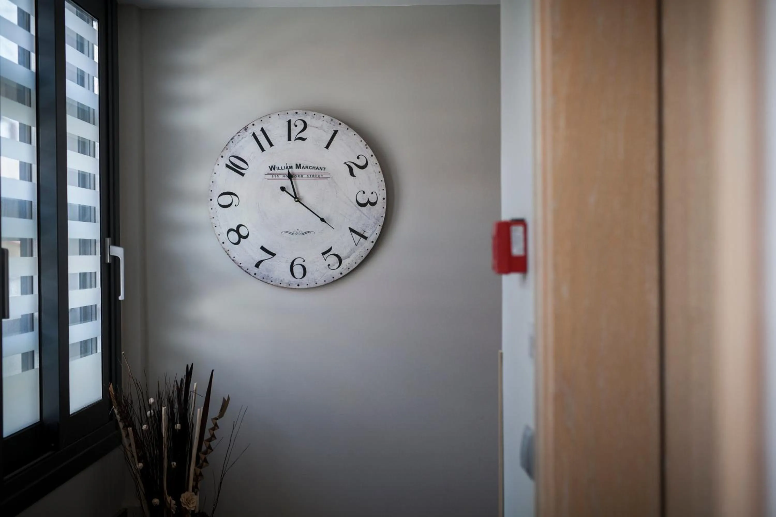 Other in Amalia Center