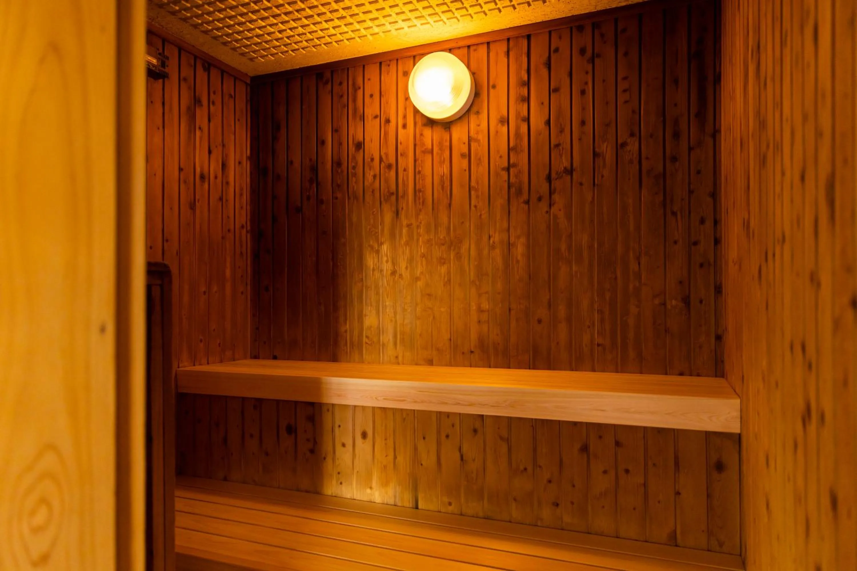 Sauna in Natural Hot Spring Ariston Hotel Oita