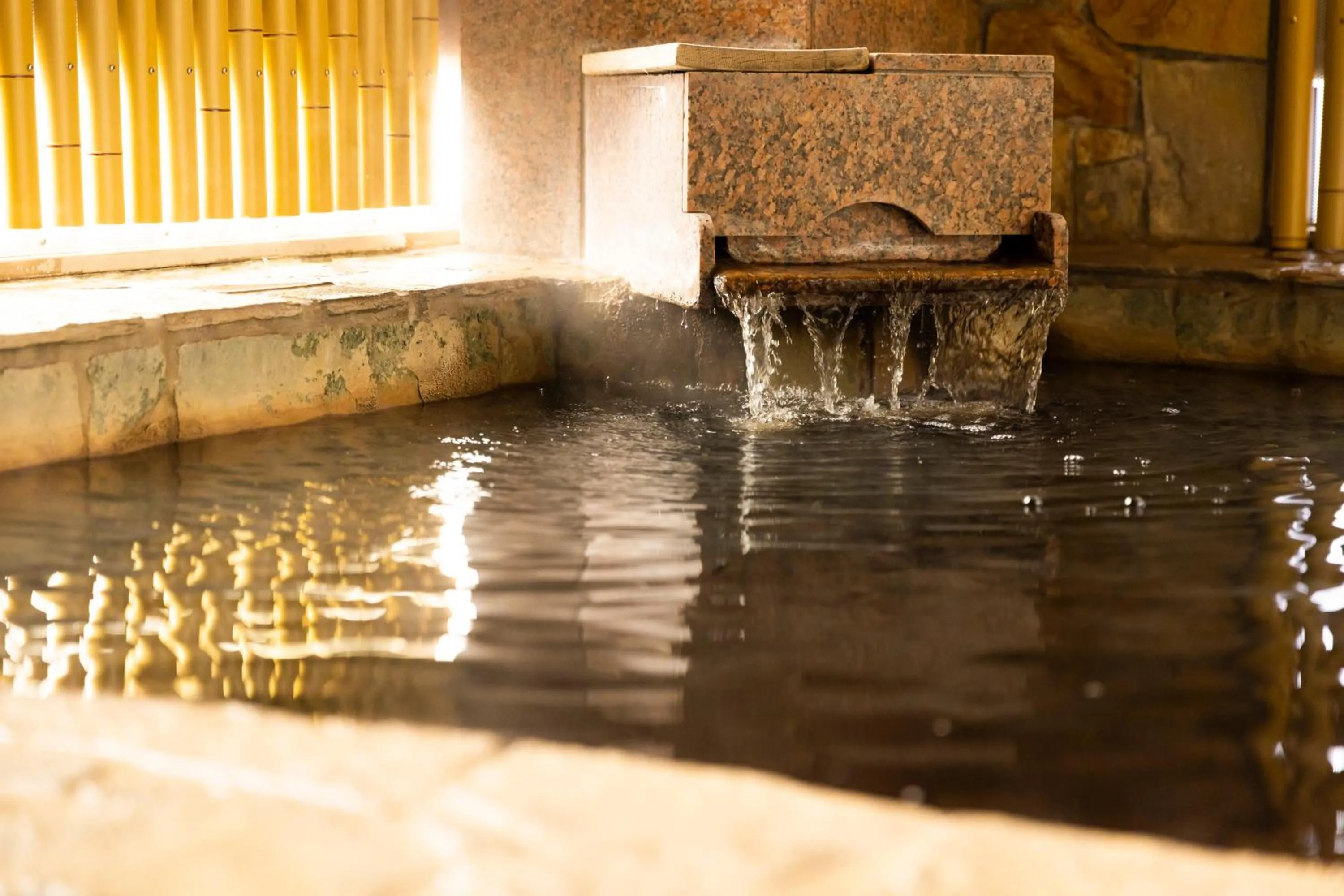 Hot Spring Bath in Natural Hot Spring Ariston Hotel Oita