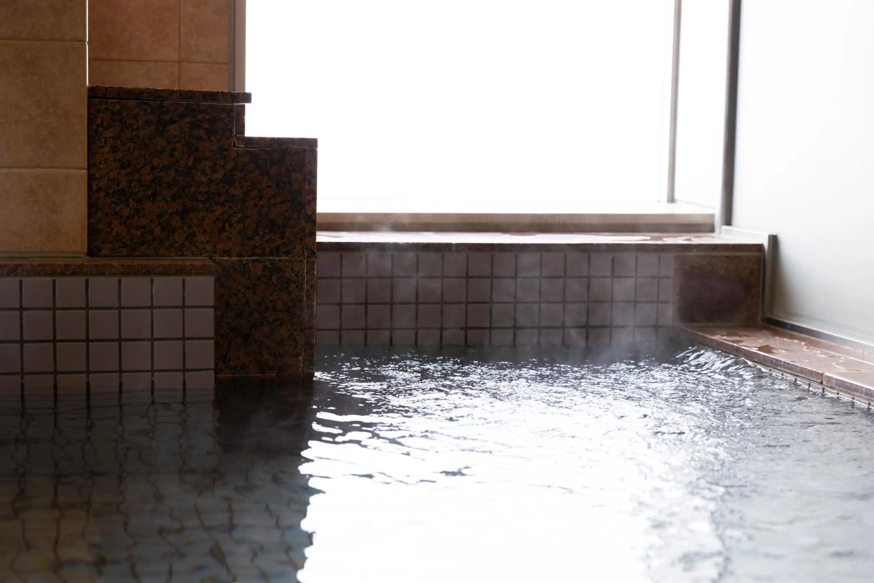 Public Bath in Natural Hot Spring Ariston Hotel Oita