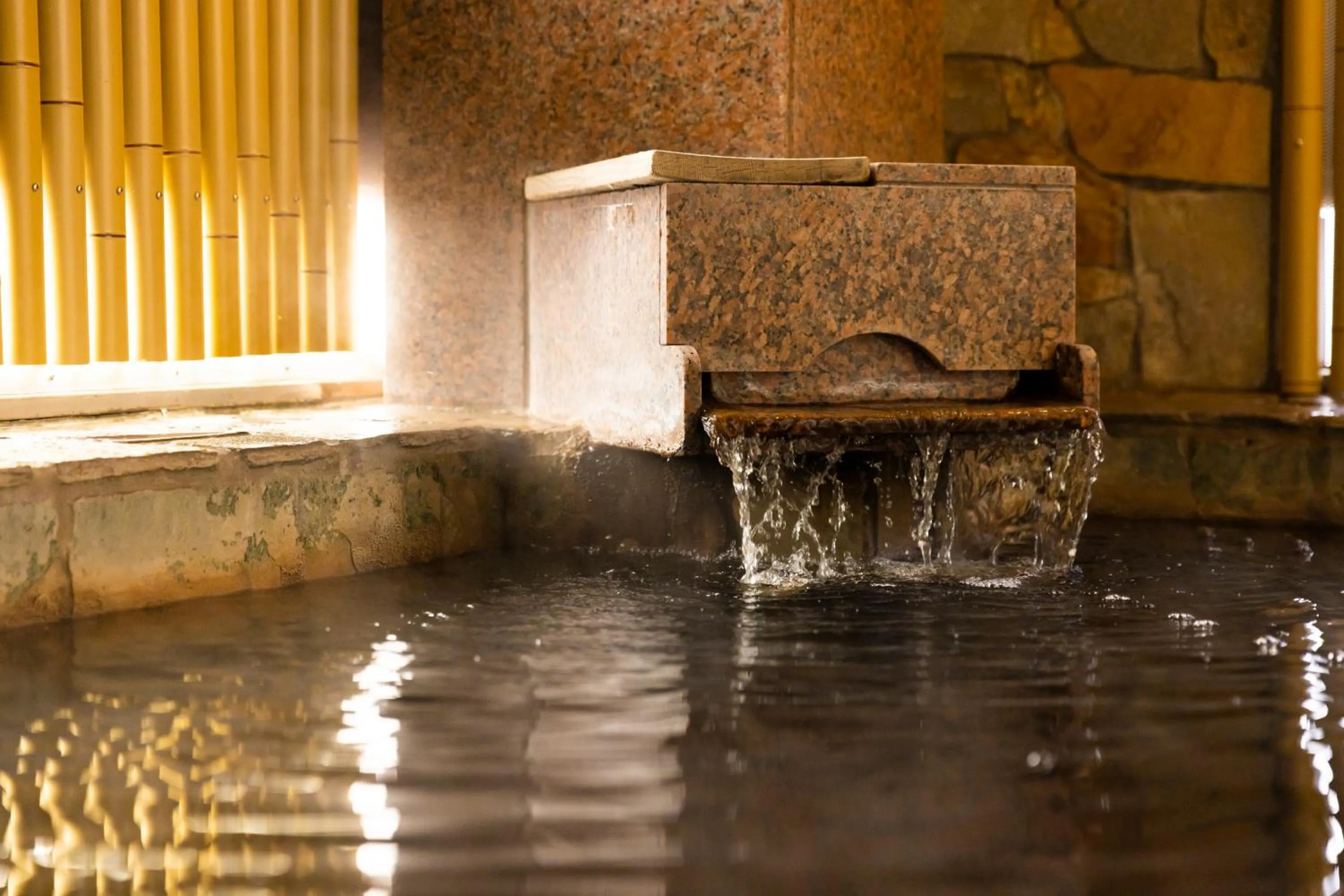 Hot Spring Bath in Natural Hot Spring Ariston Hotel Oita
