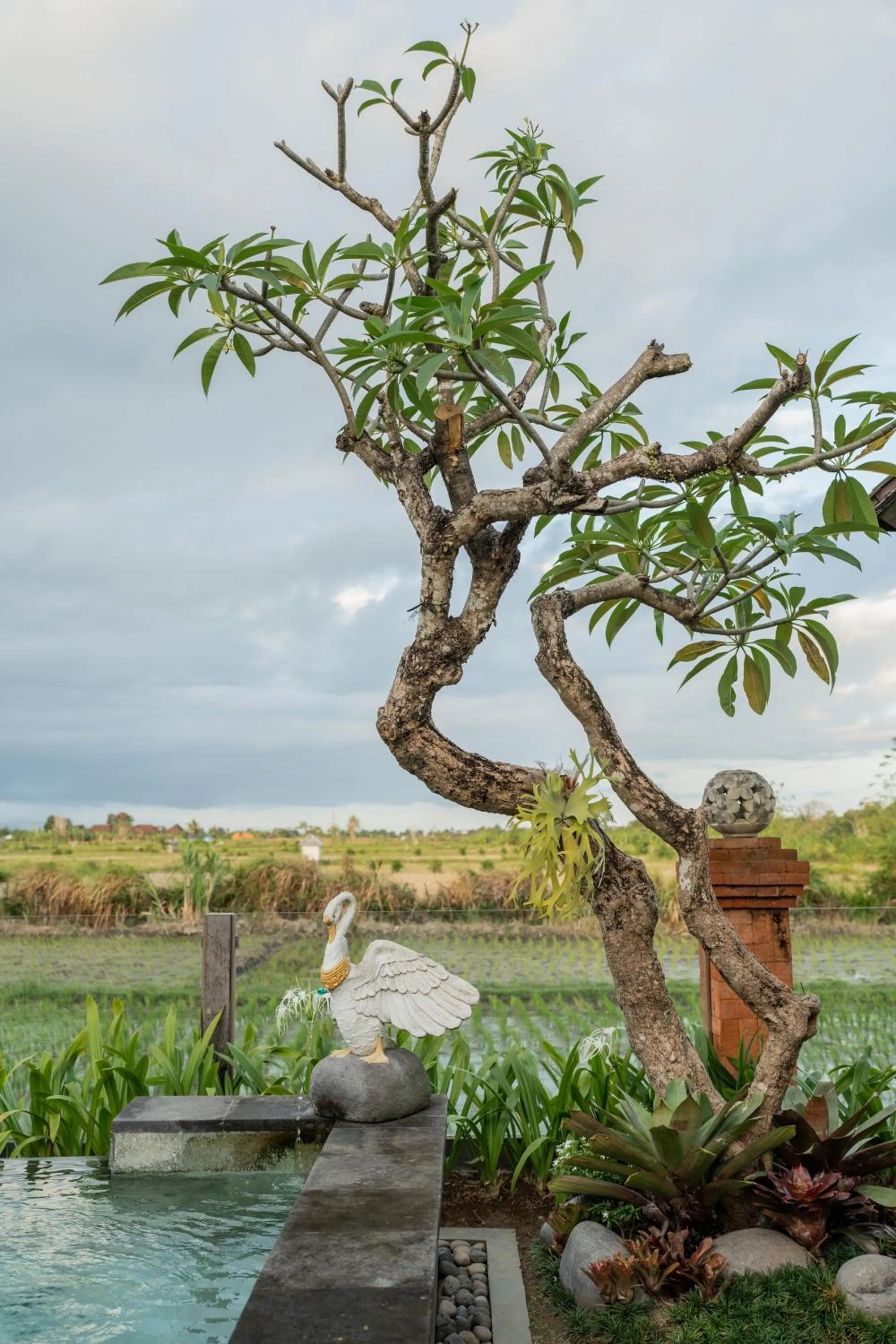 Natural landscape in Dewi Sri Villa Ubud by Mahaputra