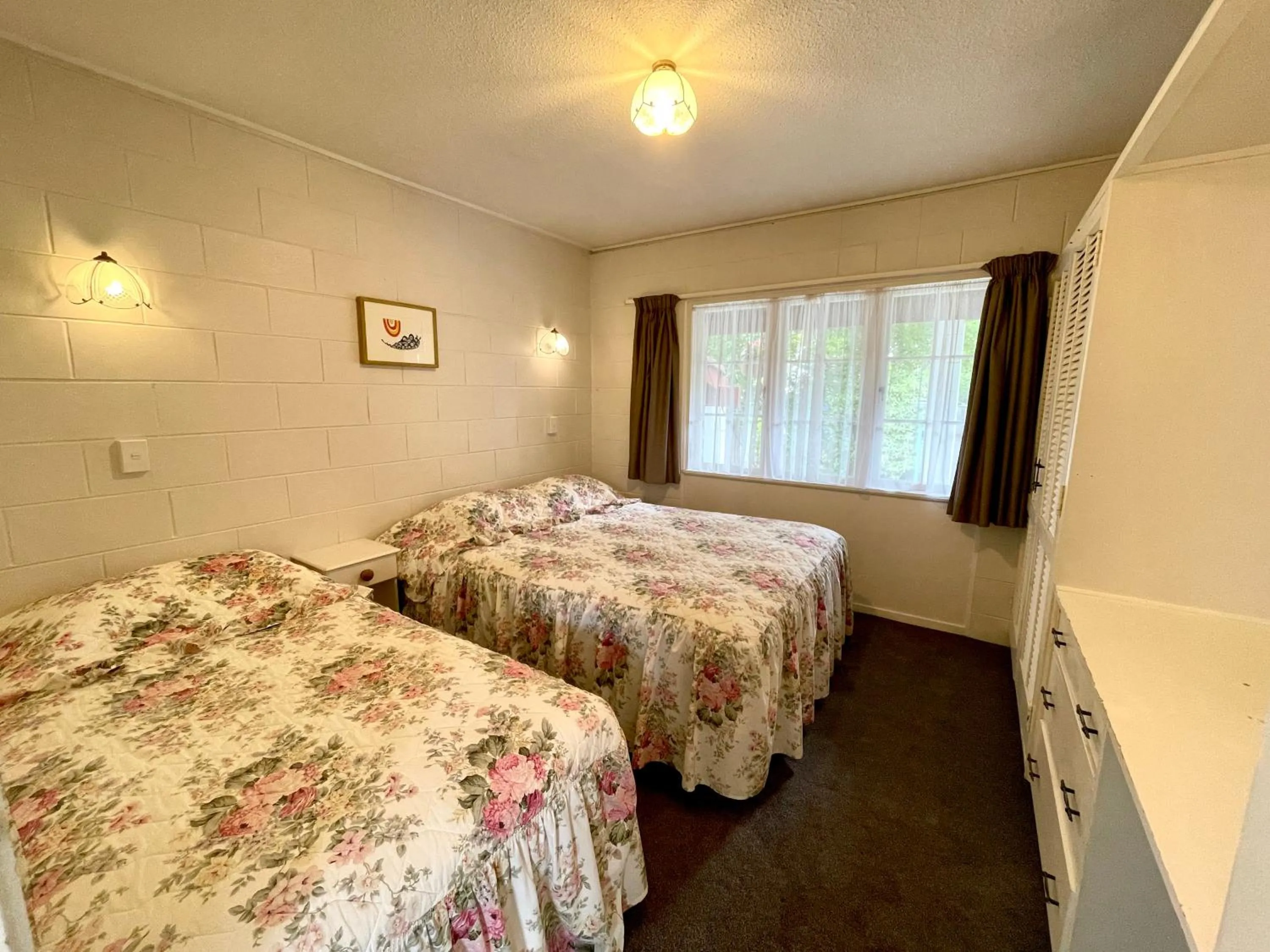 Browns Bay Olive Tree - Pet Friendly Family Apartment