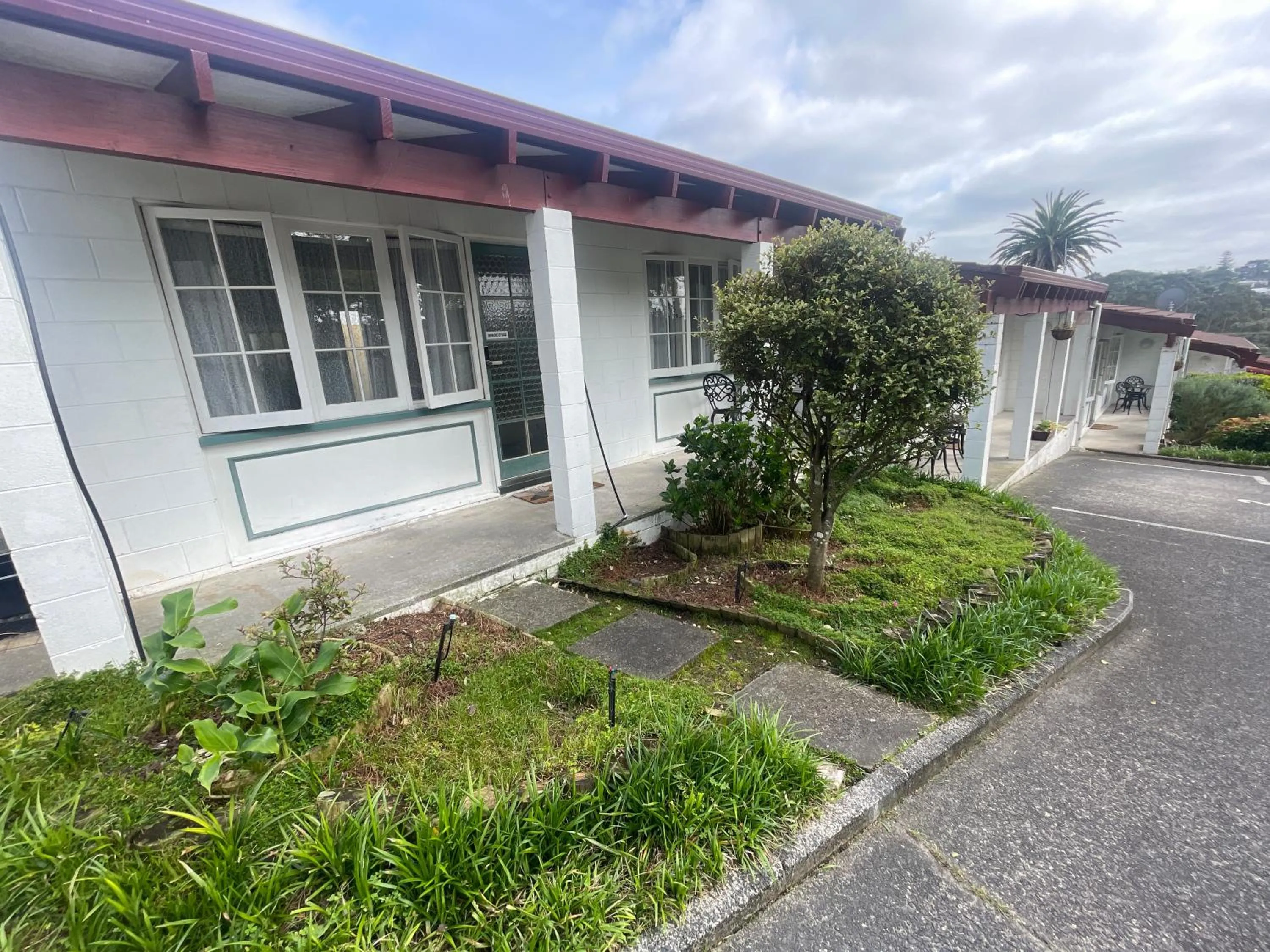 Browns Bay Olive Tree - Pet Friendly Family Apartment