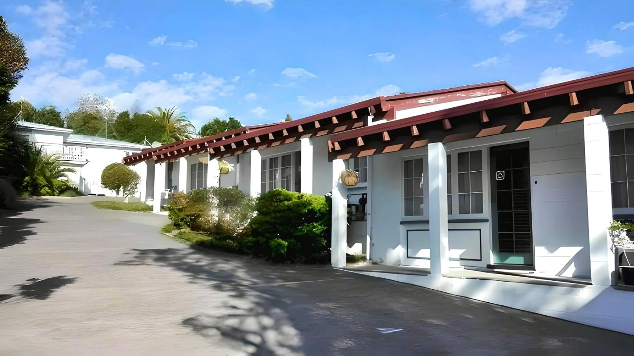 Browns Bay Olive Tree - Pet Friendly Family Apartment