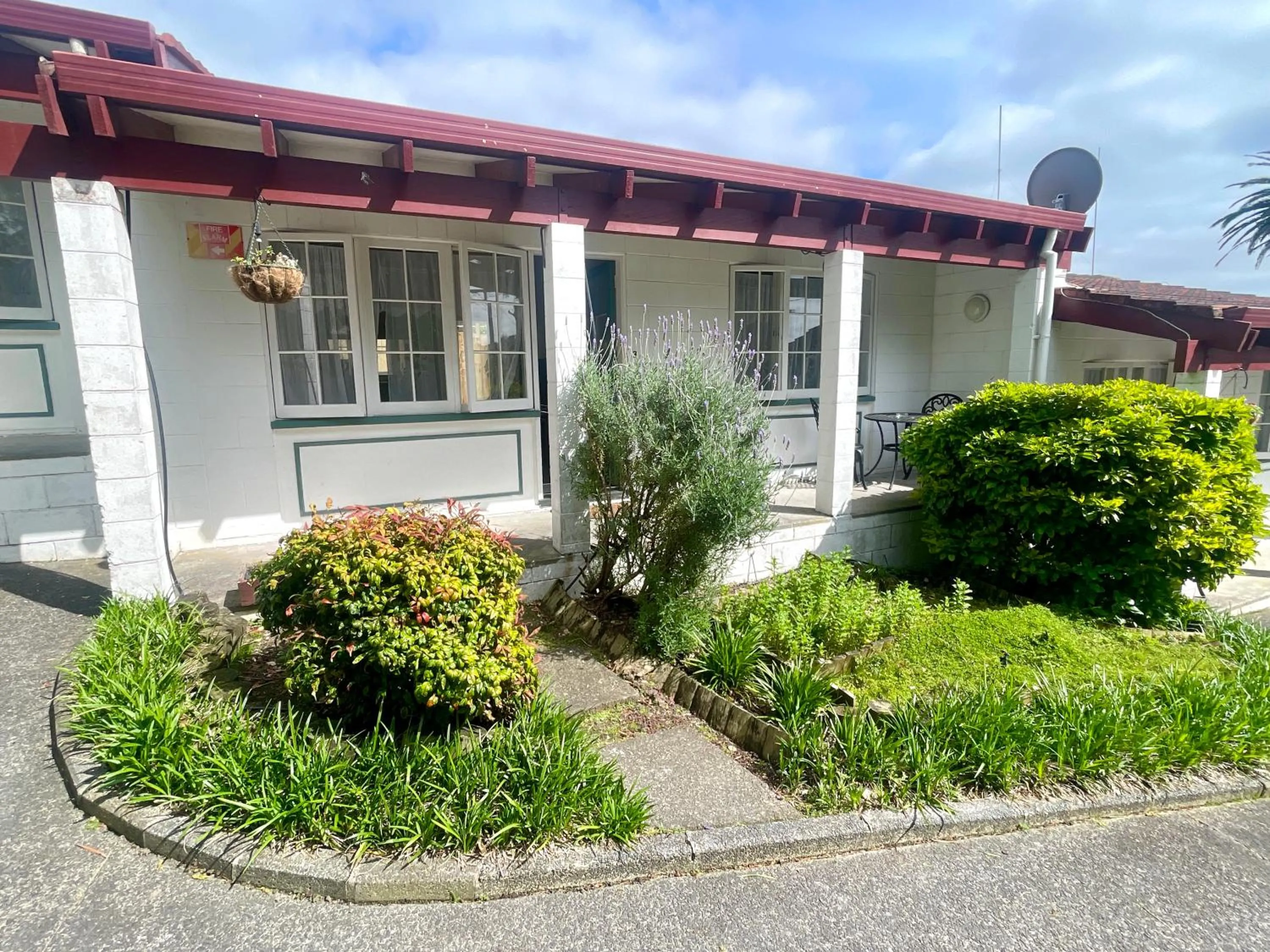 Browns Bay Olive Tree - Pet Friendly Family Apartment