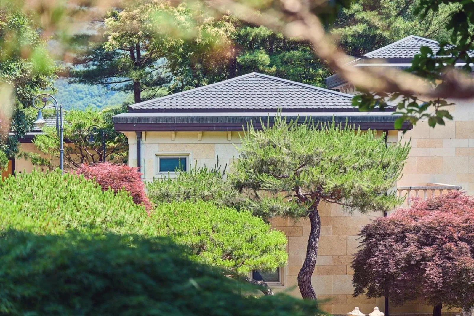 Crystal Valley CC Golden Village