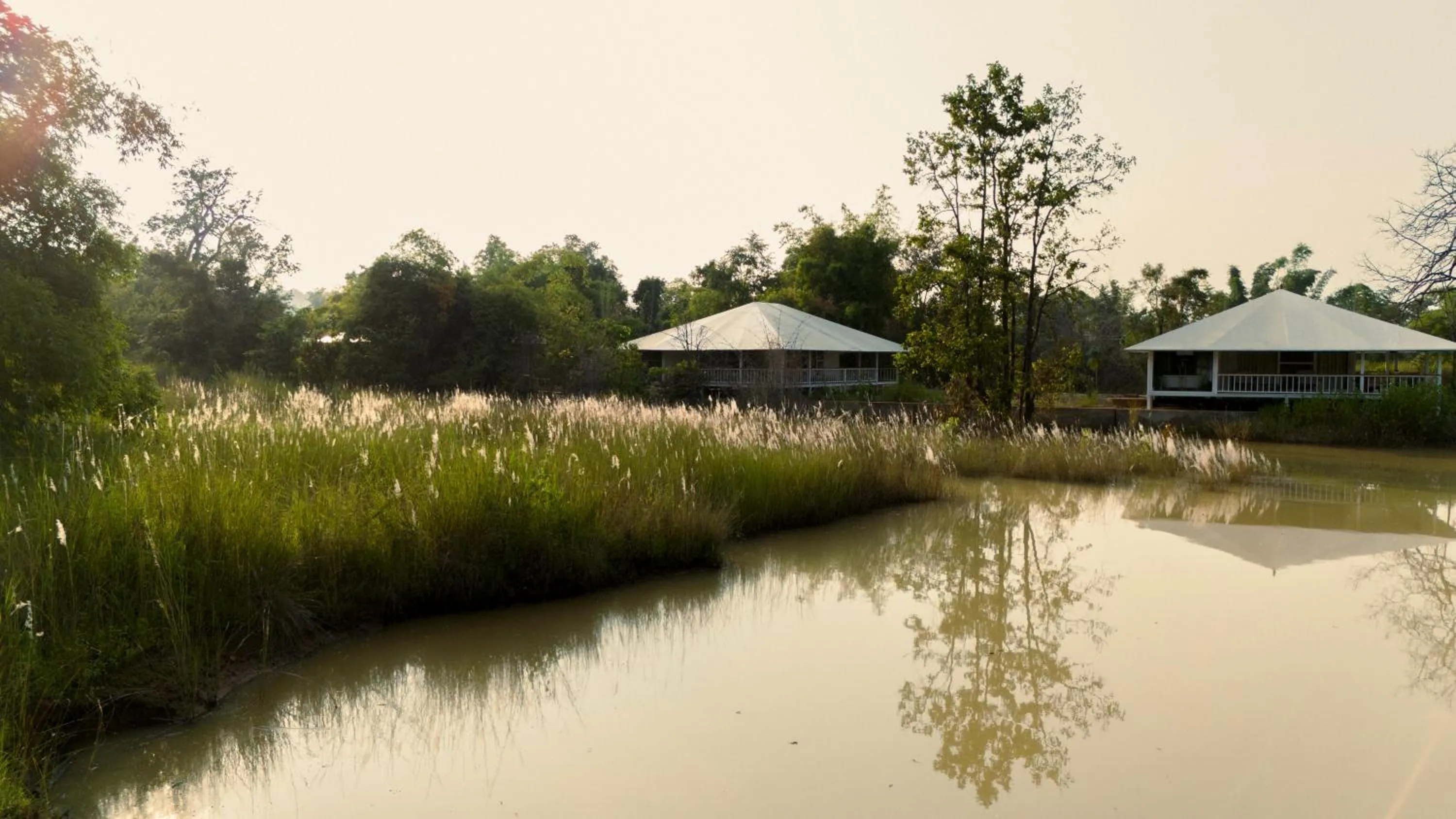 Lake view in Tree of Life Ramvilas, Bandhavgarh
