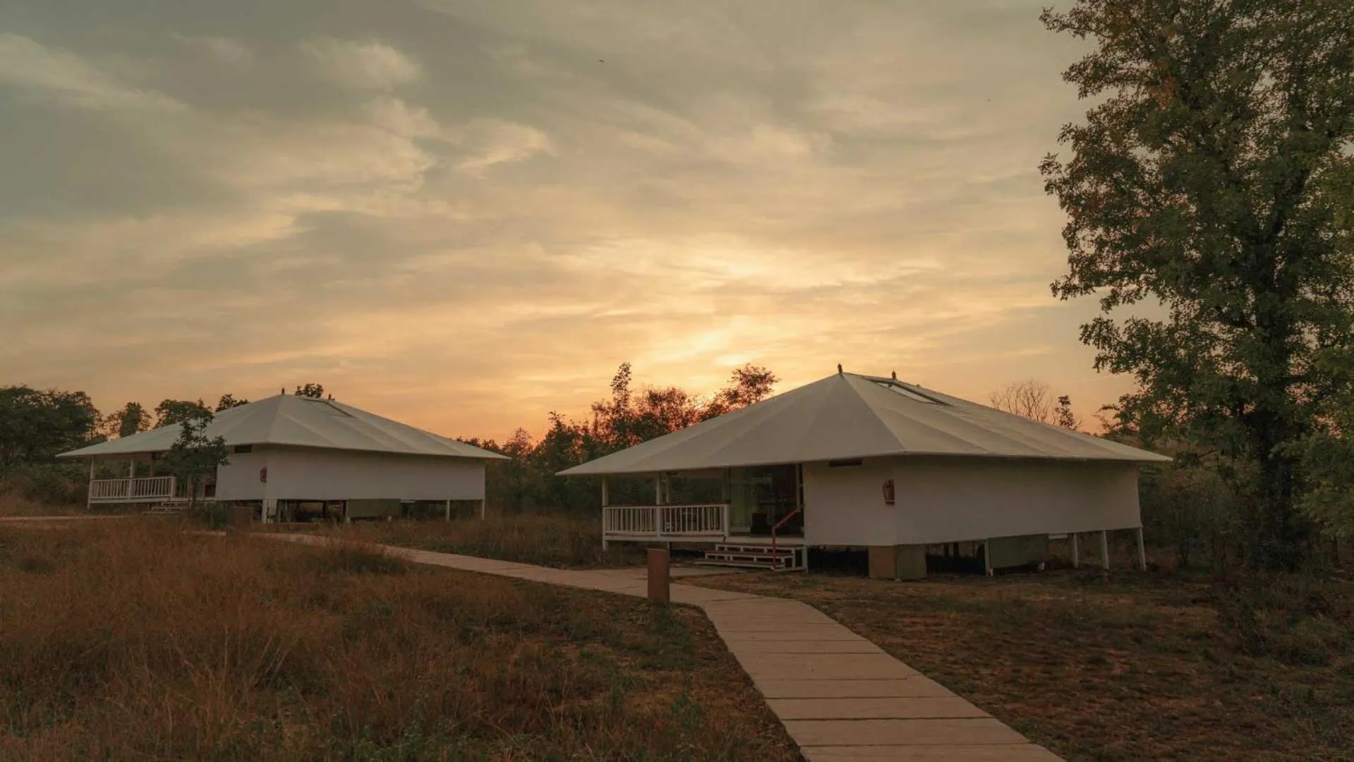 Property building in Tree of Life Ramvilas, Bandhavgarh