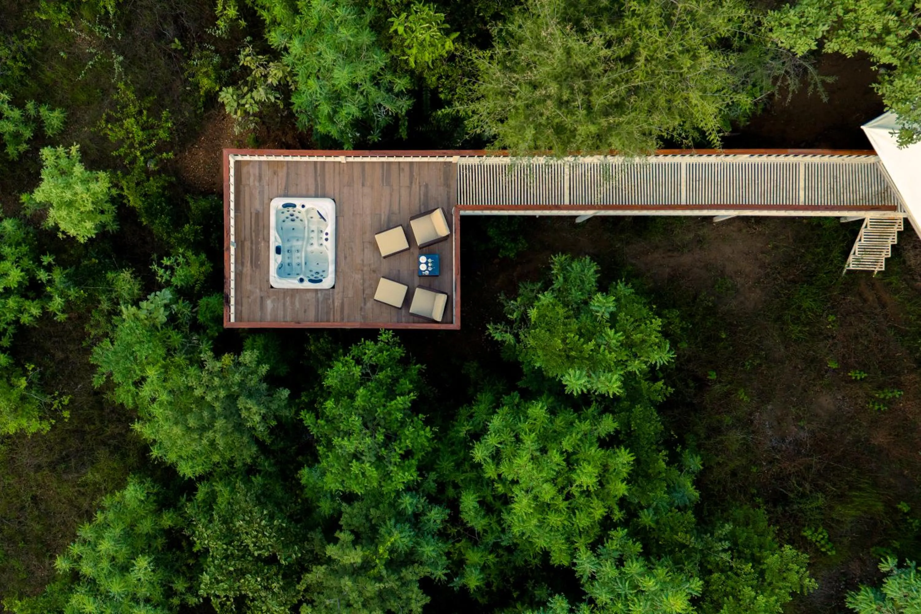 View (from property/room) in Tree of Life Ramvilas, Bandhavgarh