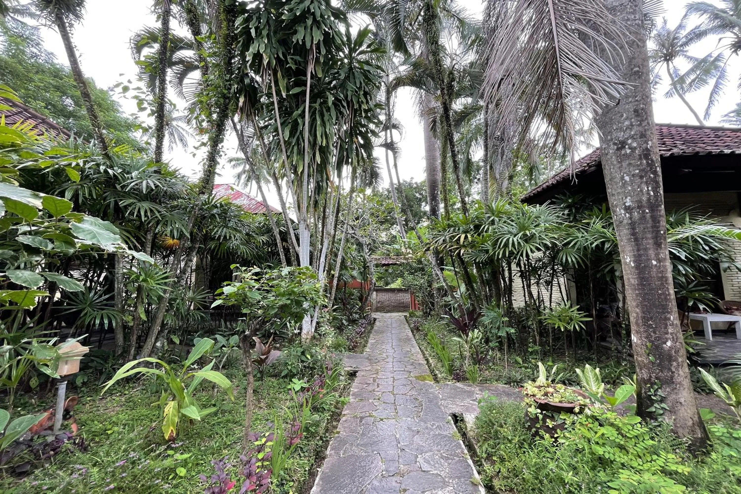 Garden in Raja's Bungalows