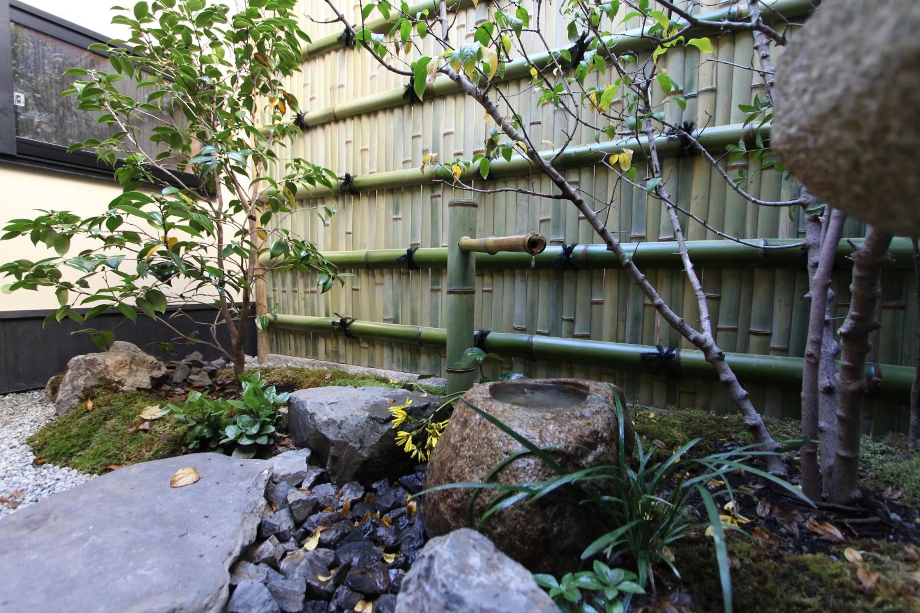 Garden in Brian Machiya Inn