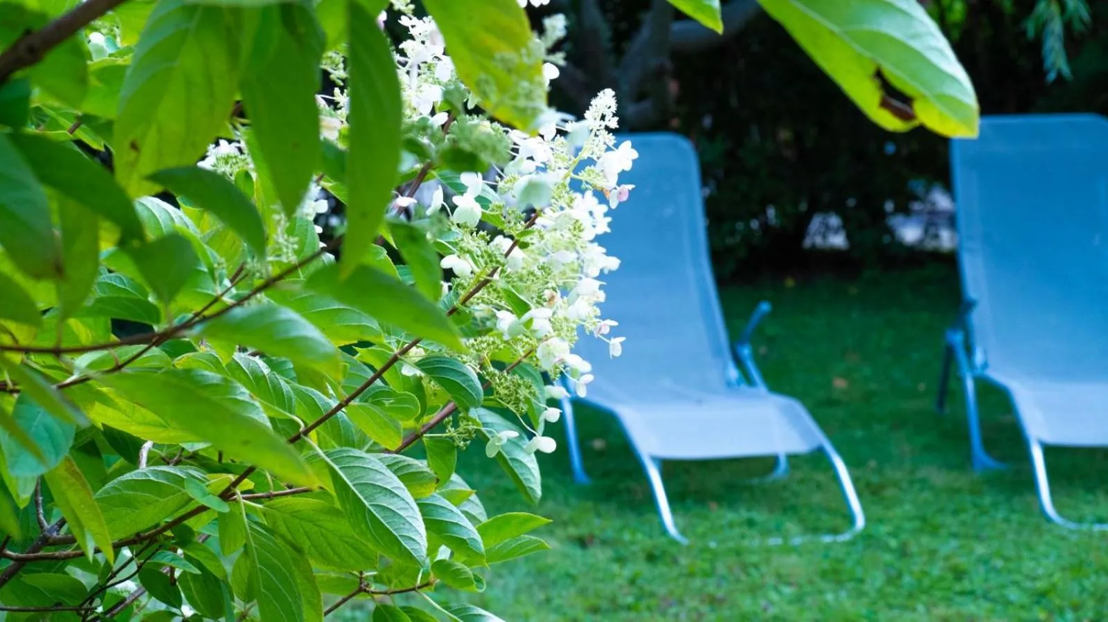 Hotel Villa Rückert