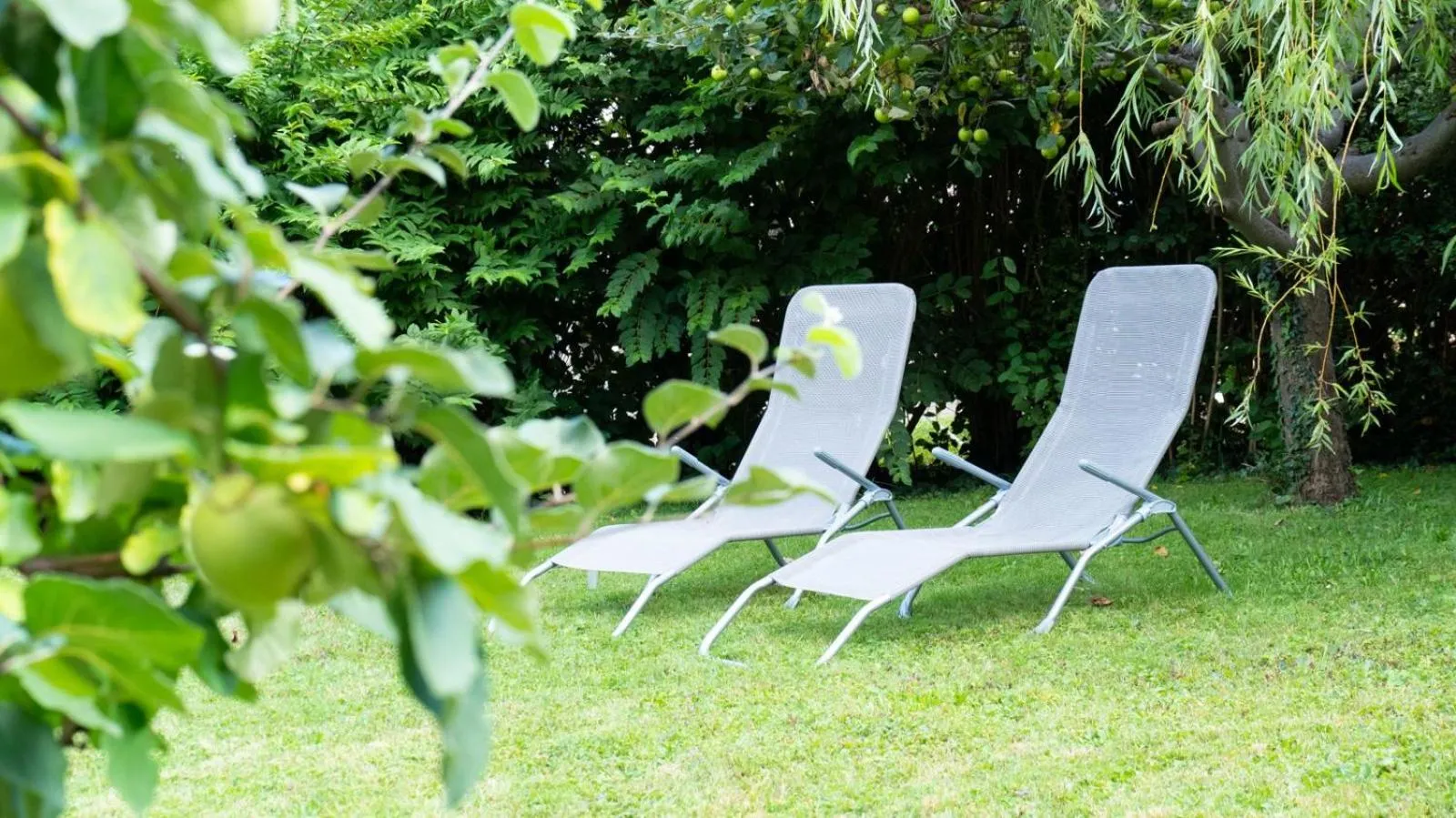 Hotel Villa Rückert