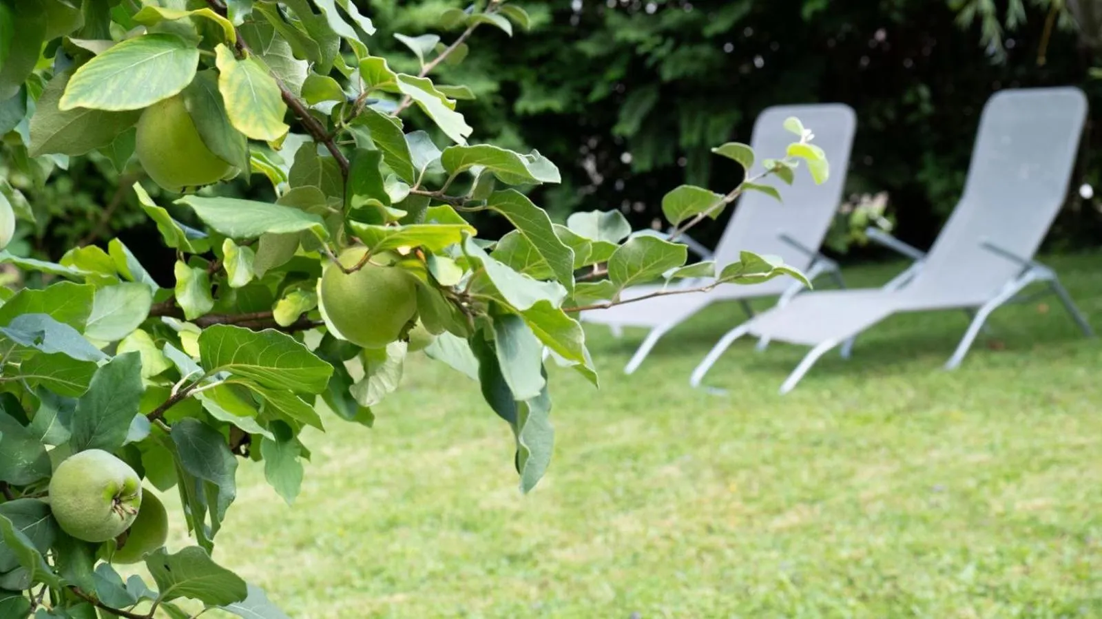 Hotel Villa Rückert