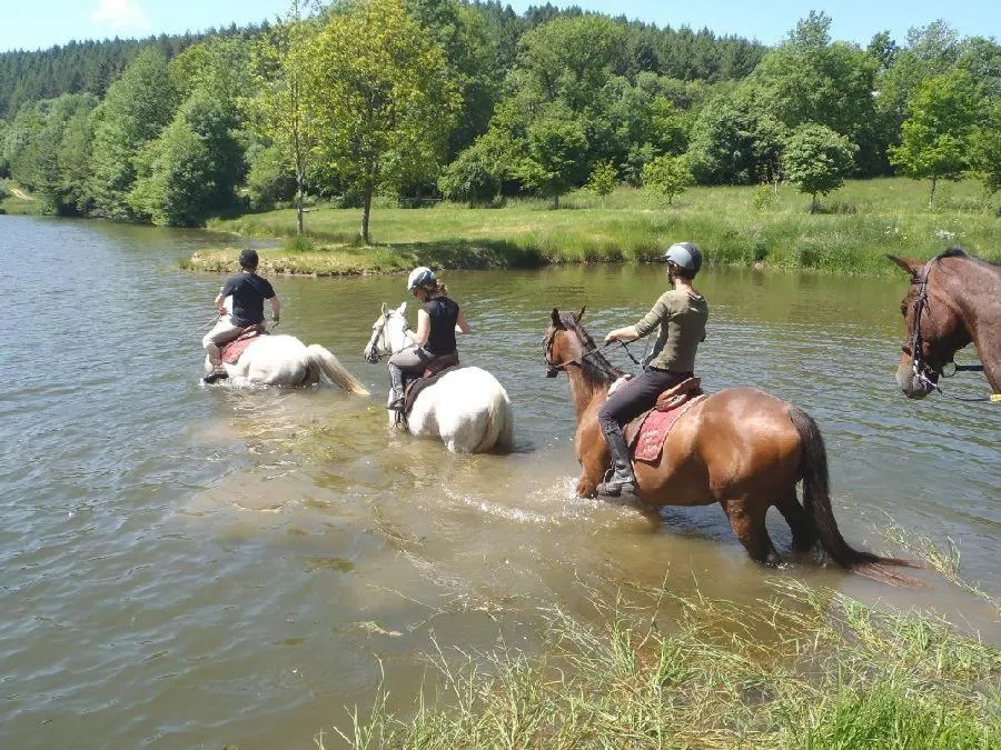Horse-riding in Le Relais des Lacs Bourgogne Morvan