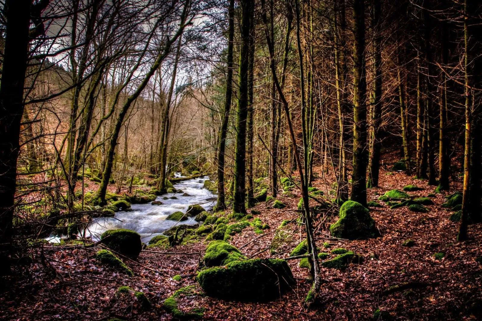 Le Relais des Lacs Bourgogne Morvan