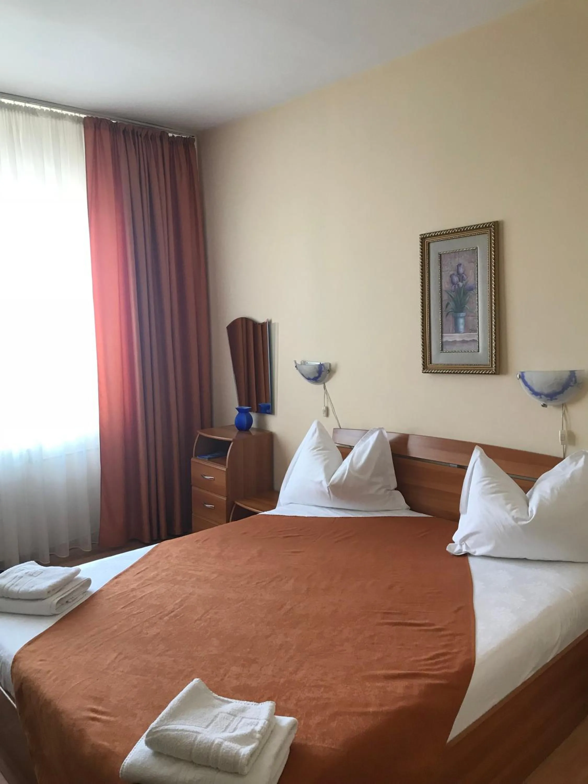 Double Room in Hotel Triumph