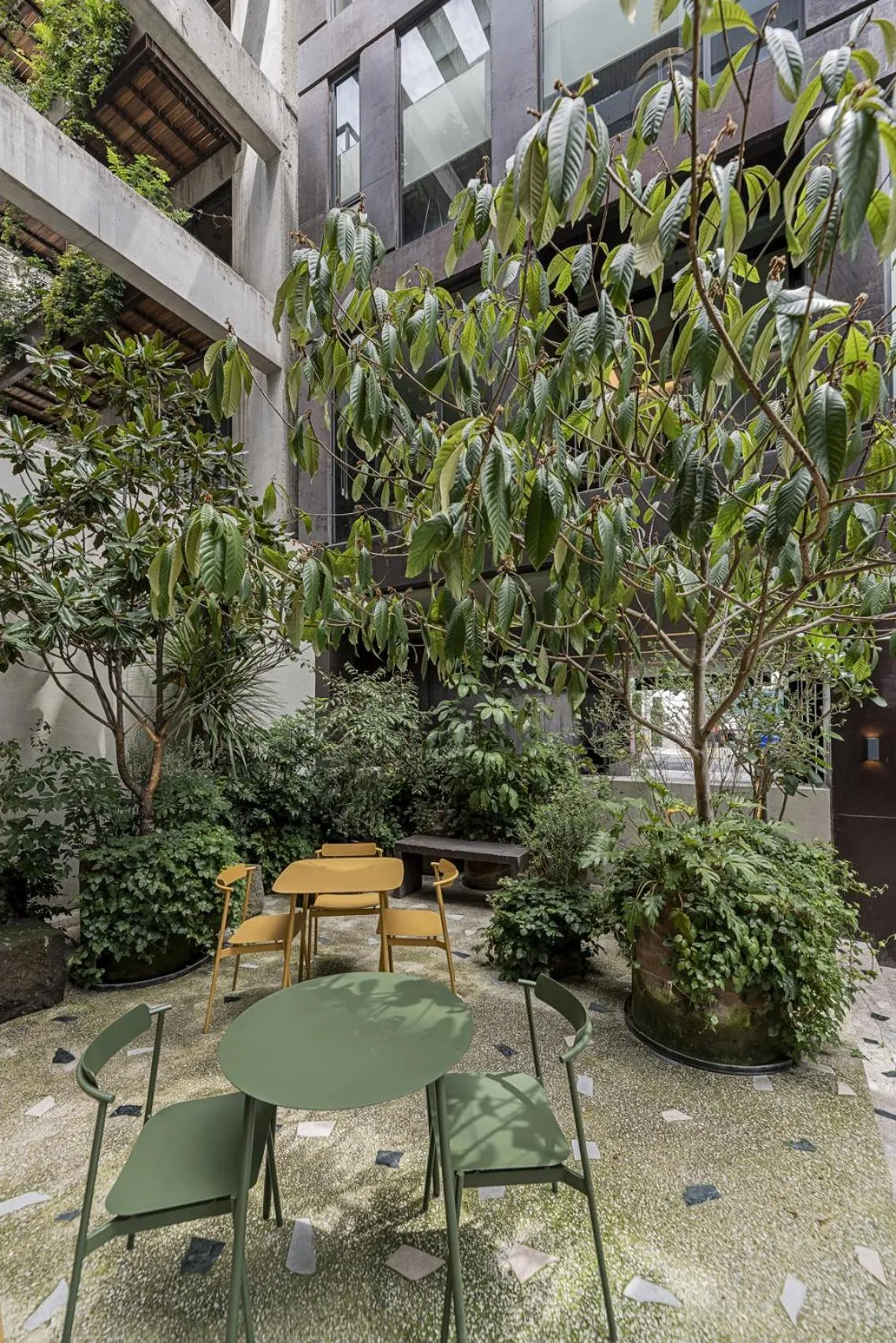 Patio in Cuadra 134 Residencial Condesa