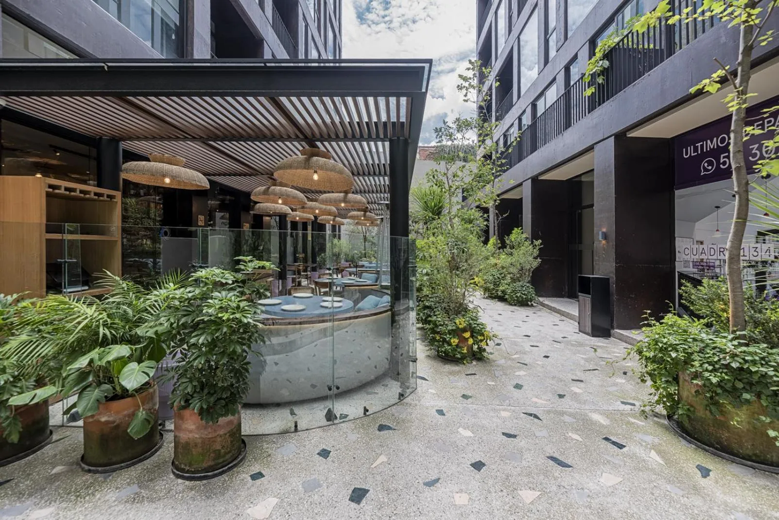 Garden in Cuadra 134 Residencial Condesa