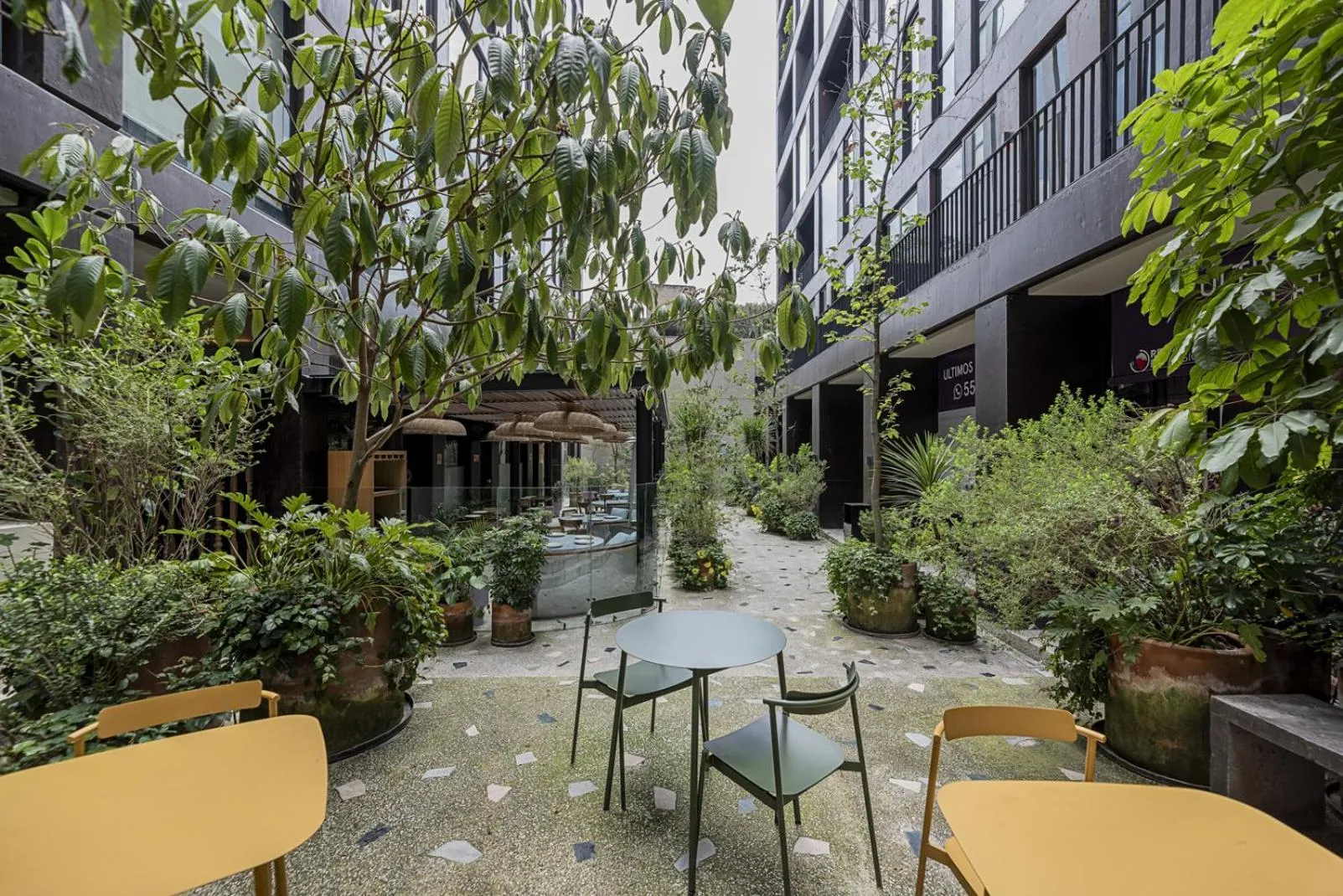 Garden in Cuadra 134 Residencial Condesa