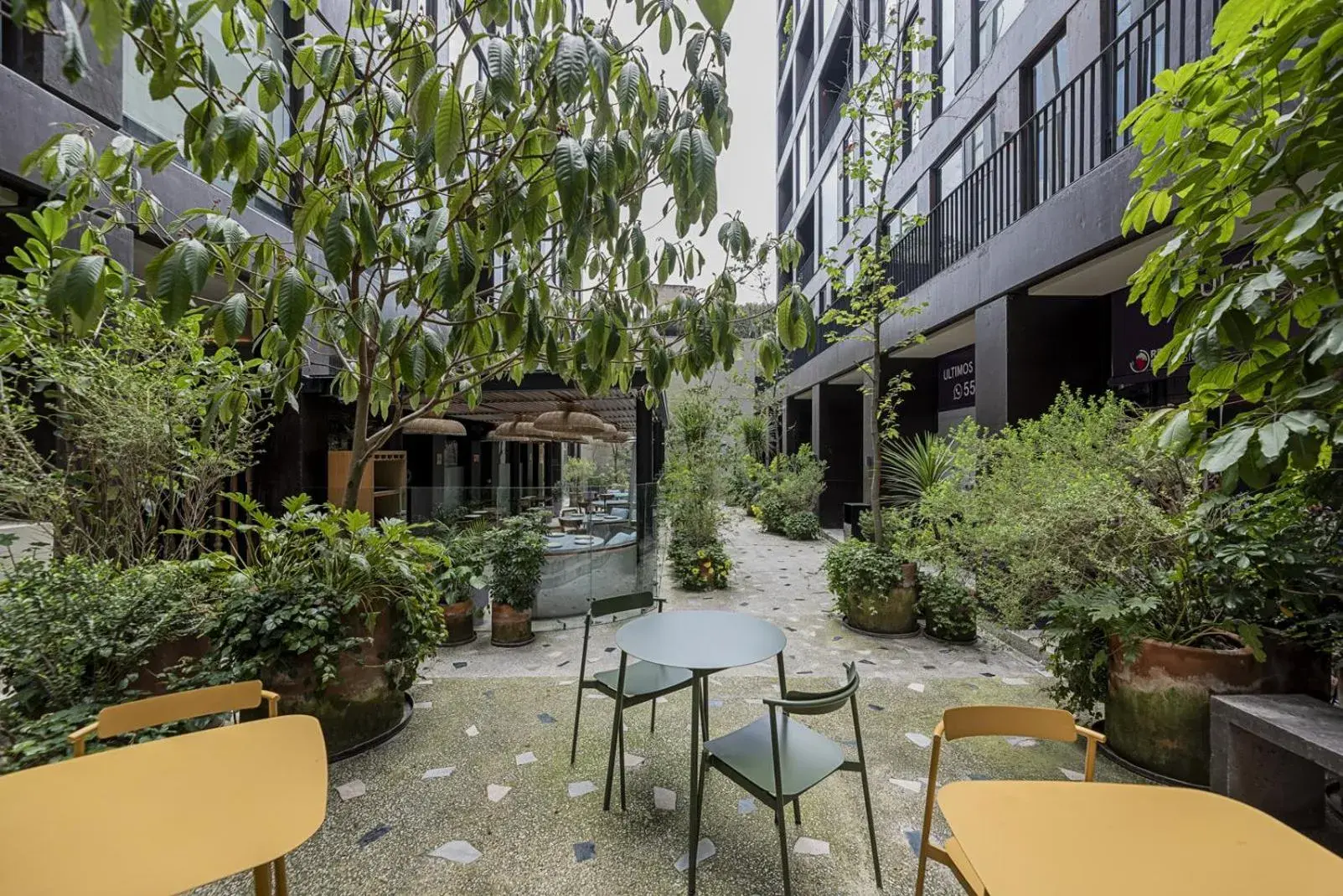 Garden in Cuadra 134 Residencial Condesa Garden in Cuadra 134 Residencial Condesa