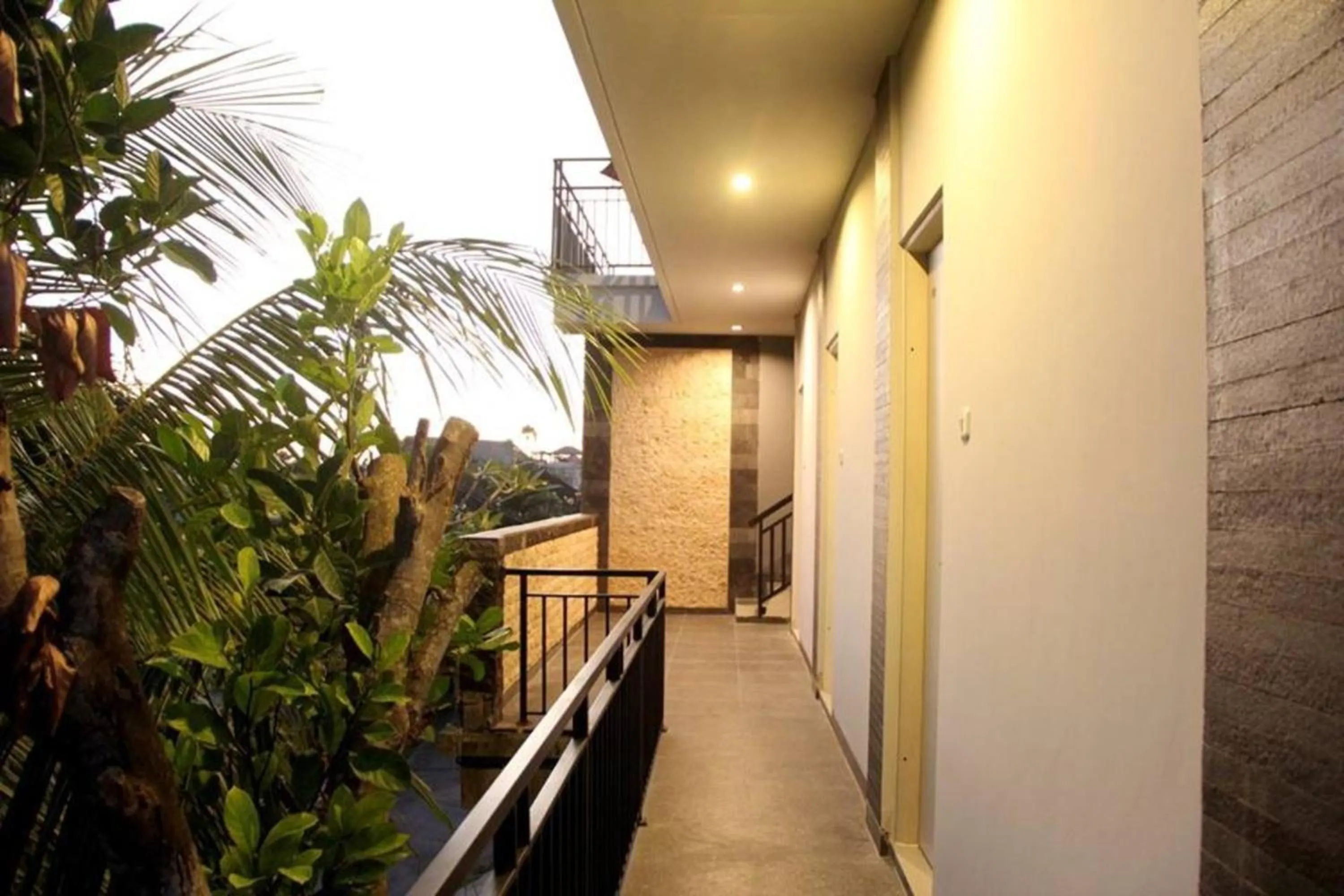 Day in Double A House