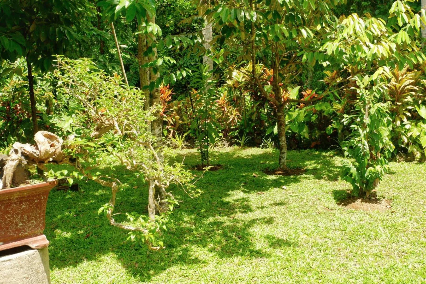 Garden view in Artja Inn Ubud