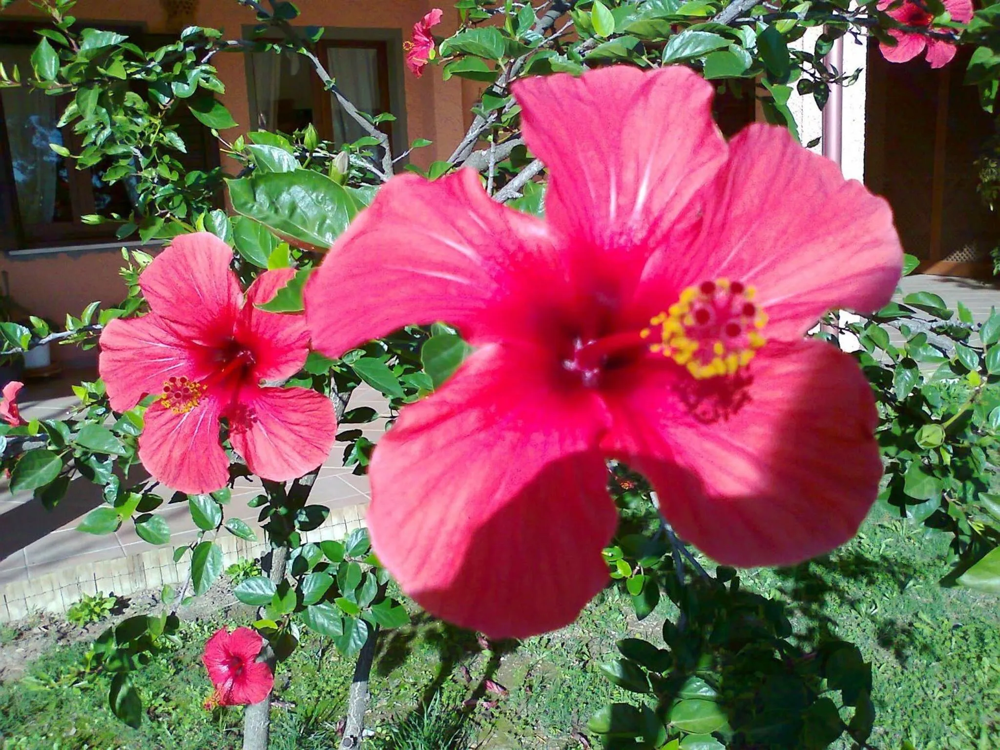 Other in Hotel Su Giudeu