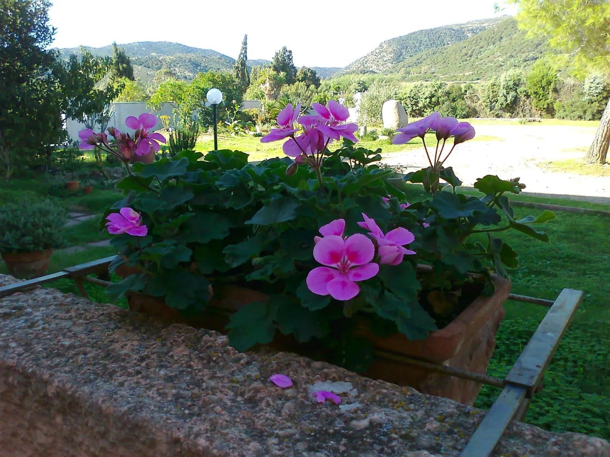 Day in Hotel Su Giudeu