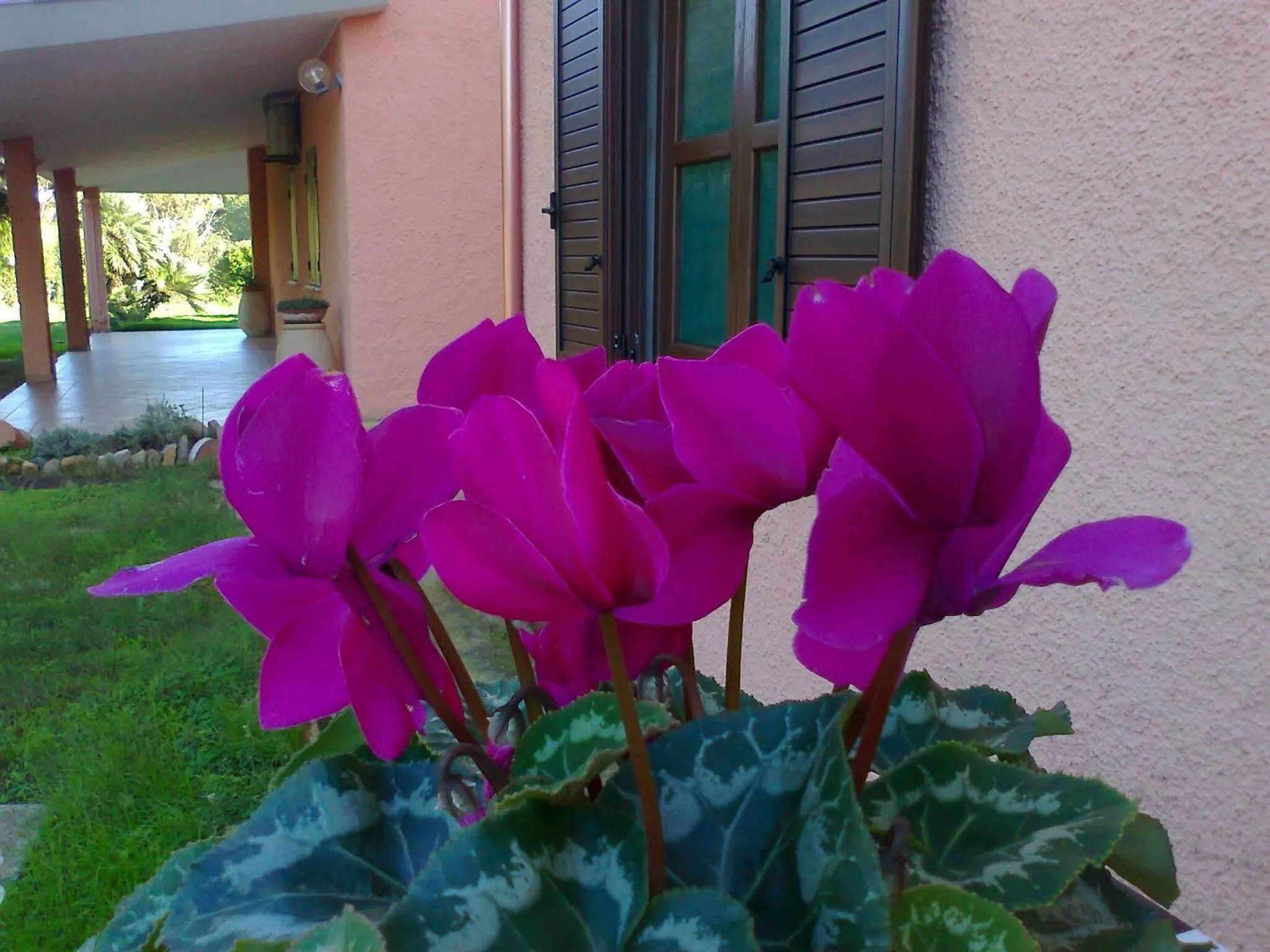 Other in Hotel Su Giudeu