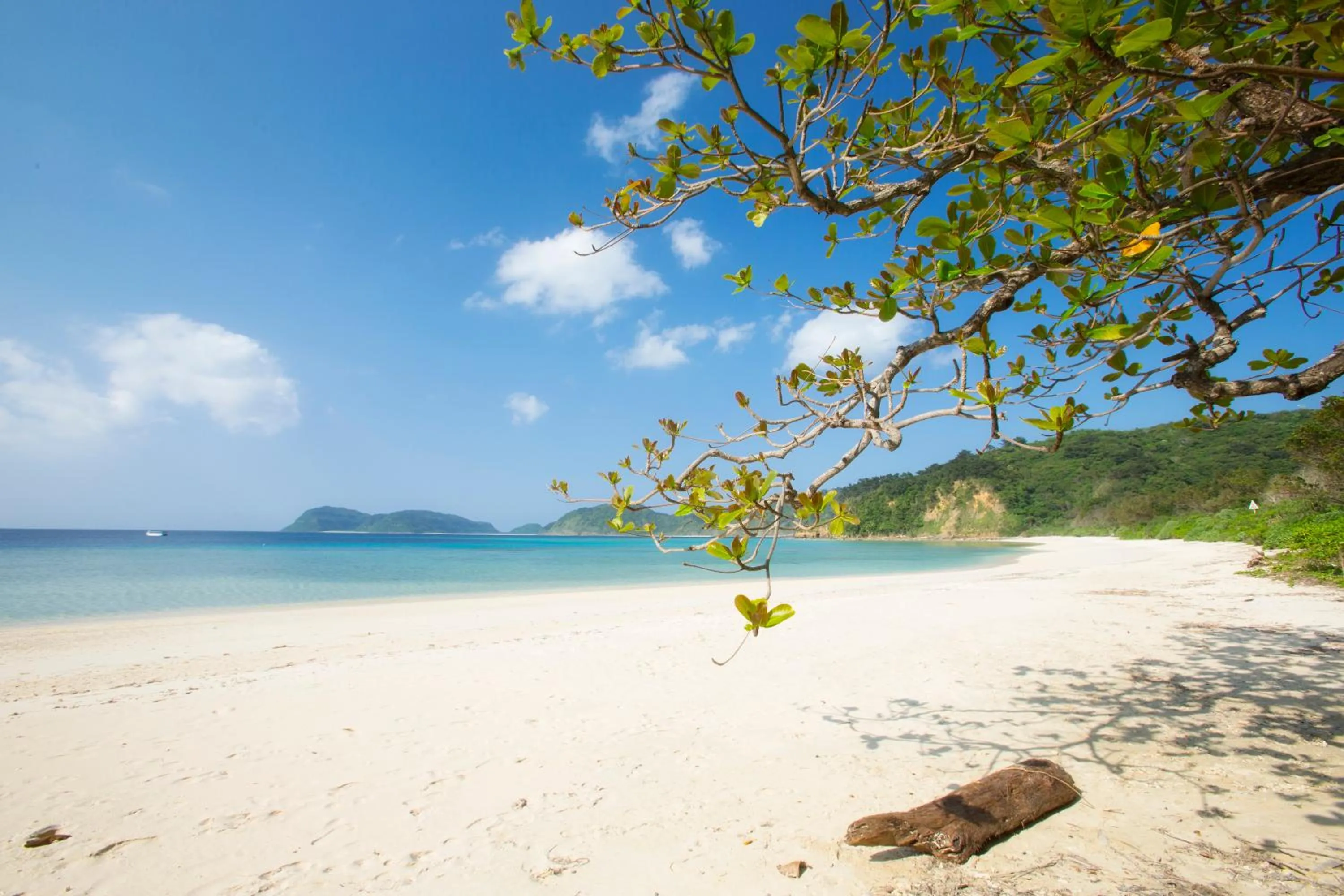 Iriomote Hotel by Hoshino Resorts